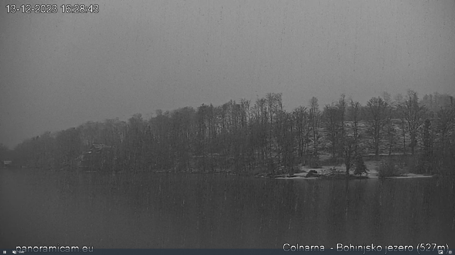 Bohinjsko jezero (Foto: Spletne kamere/hribi.net)