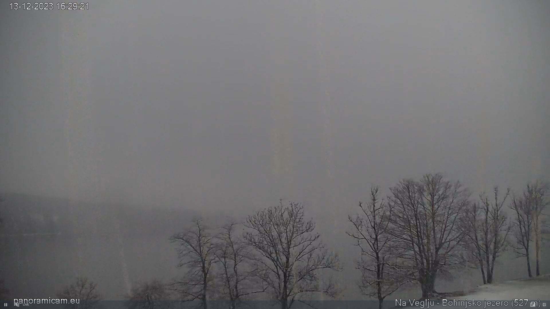 Bohinjsko jezero (Foto: Spletne kamere/hribi.net)