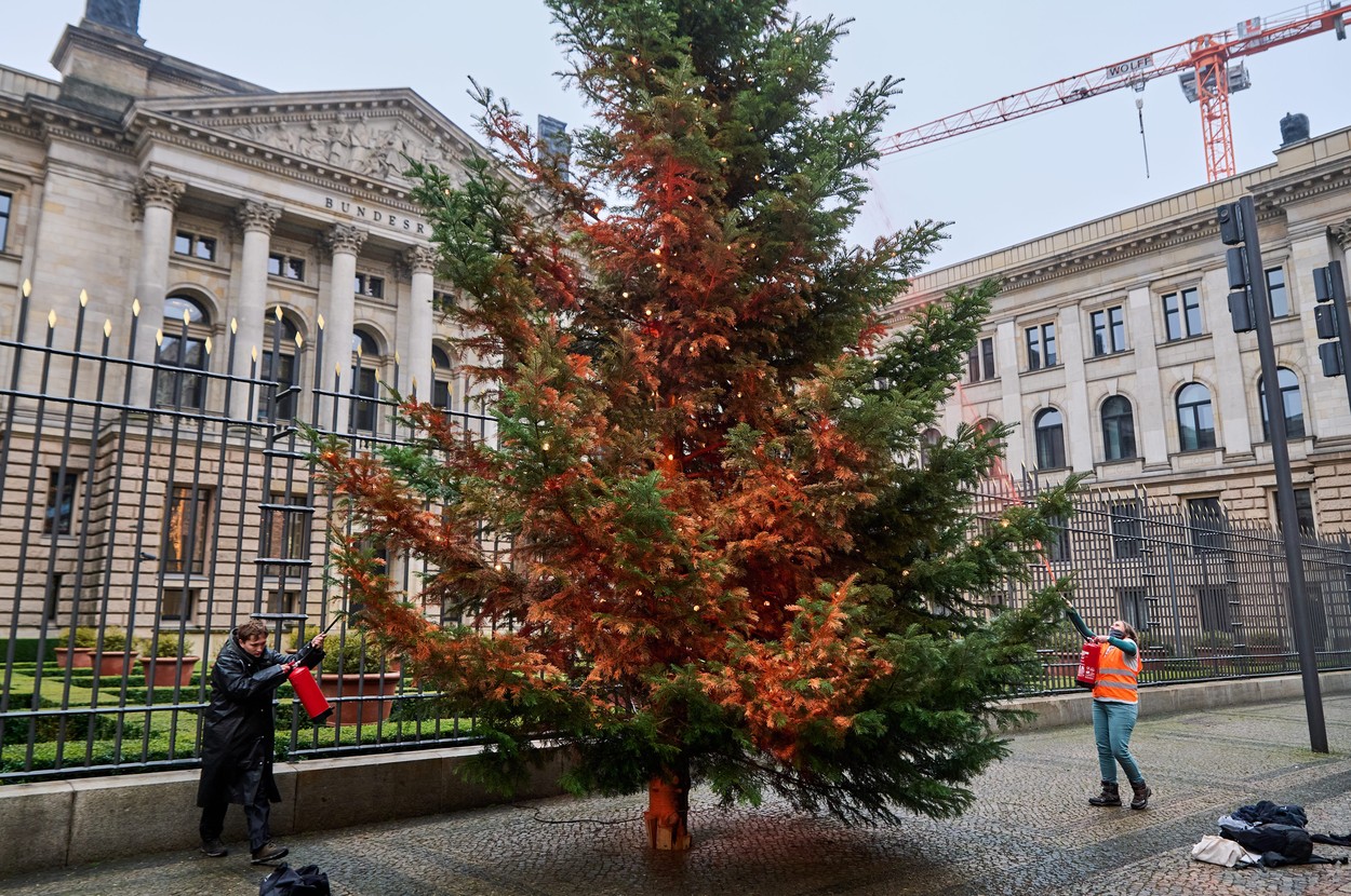 Okoljski aktivist iz skupine Last Generation (Foto: PROFIMEDIA)