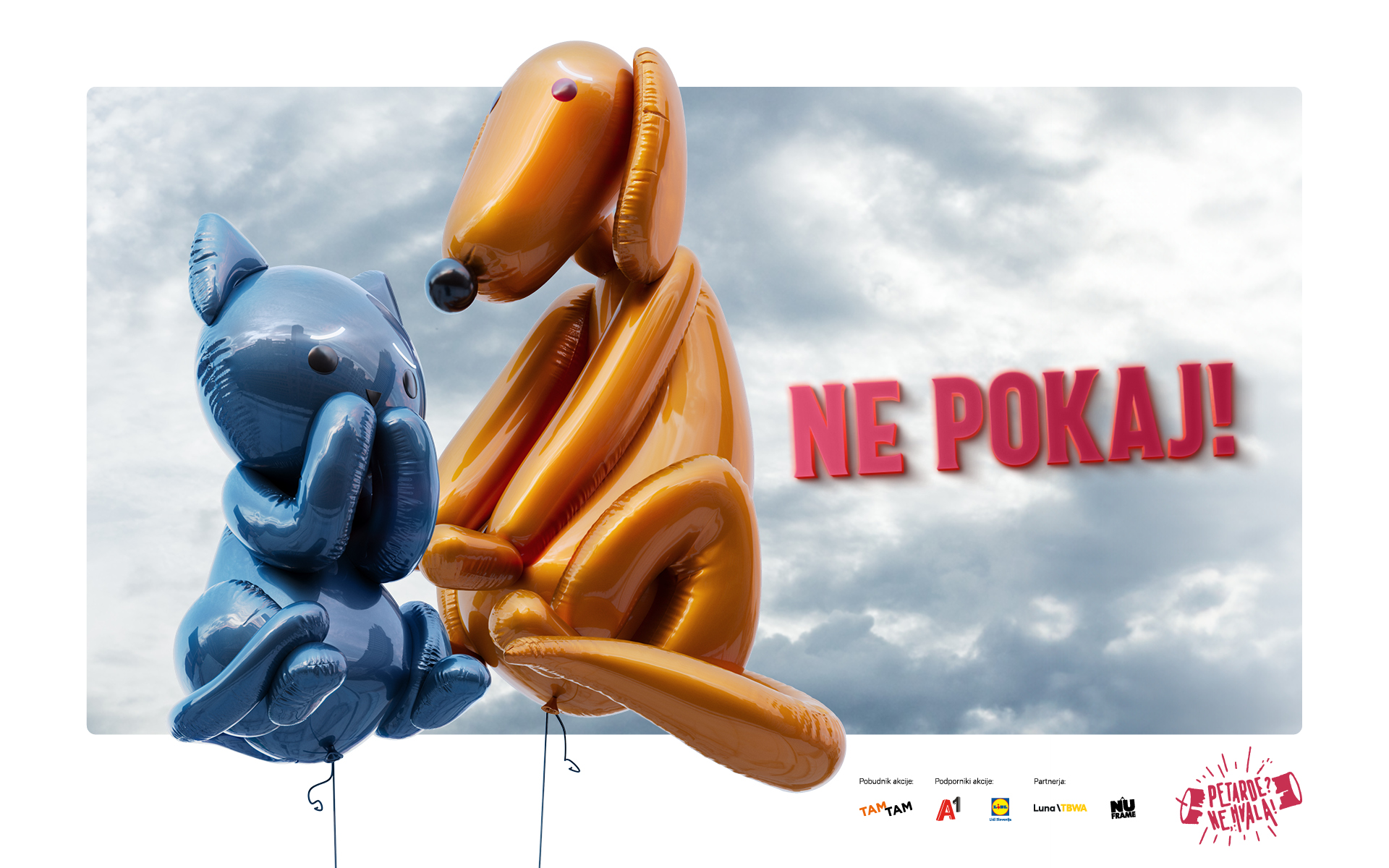 tam tam, petarde, plakati