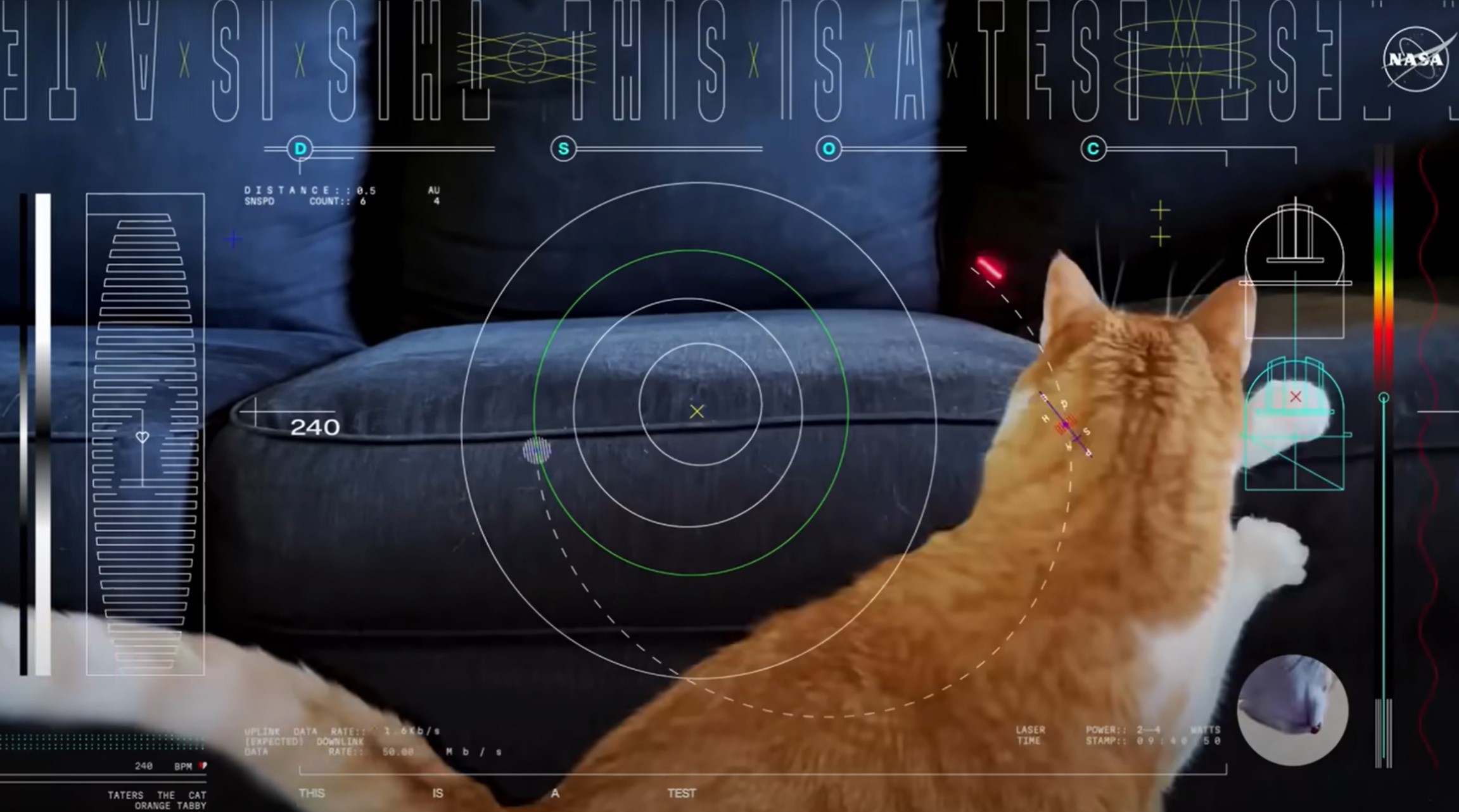 Taters, maček, Nasa, sporočilo, Psyche, komunikacija