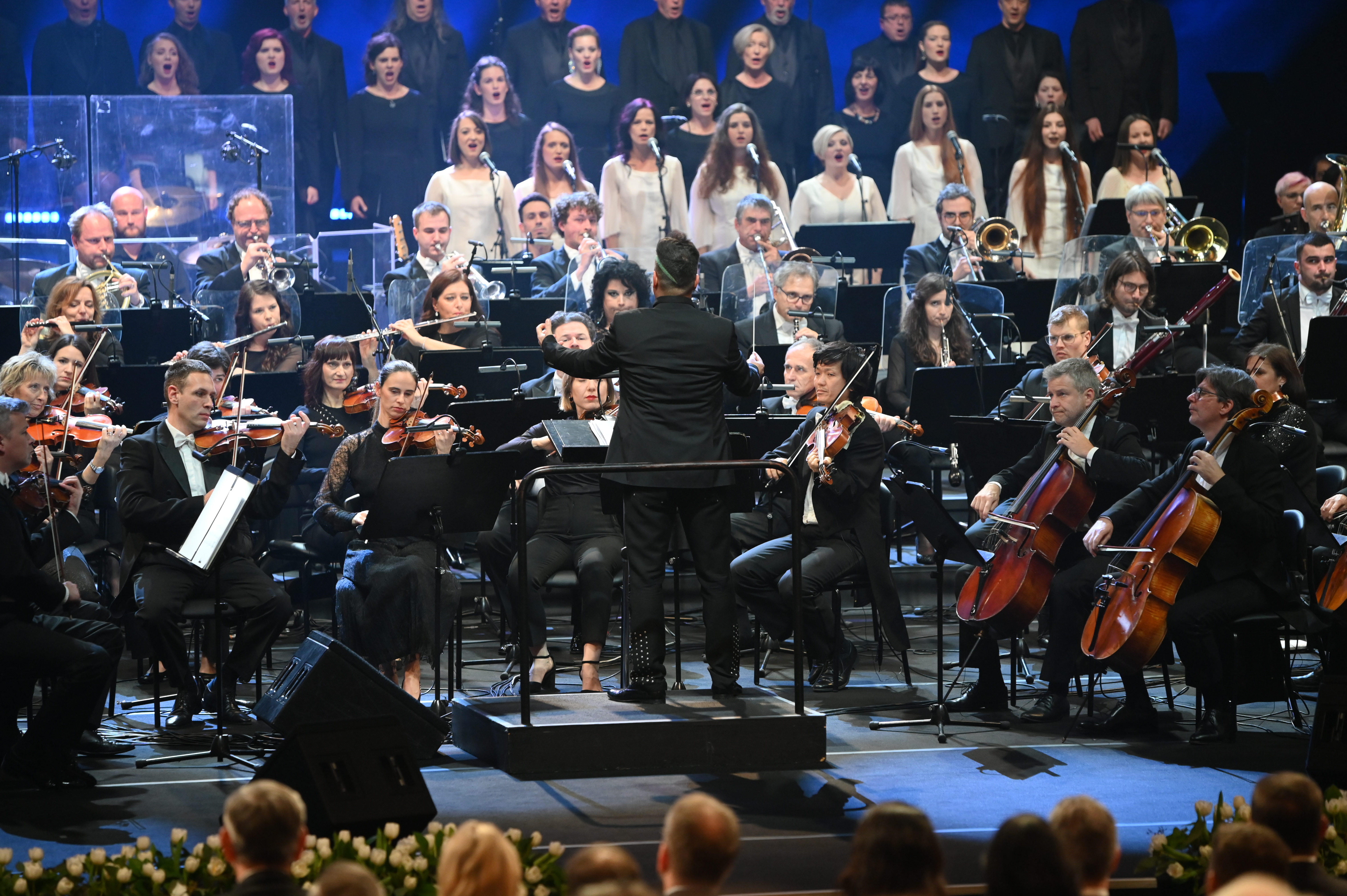 Foto: Borut Živulović/BOBO