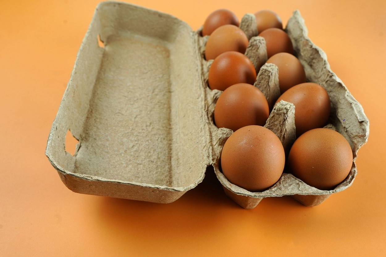 jajca, karton, embalaža
