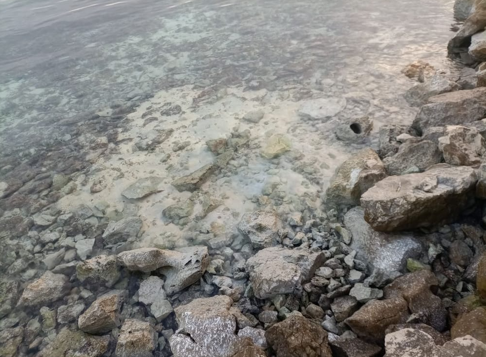 Mešalnik betona, Pašman