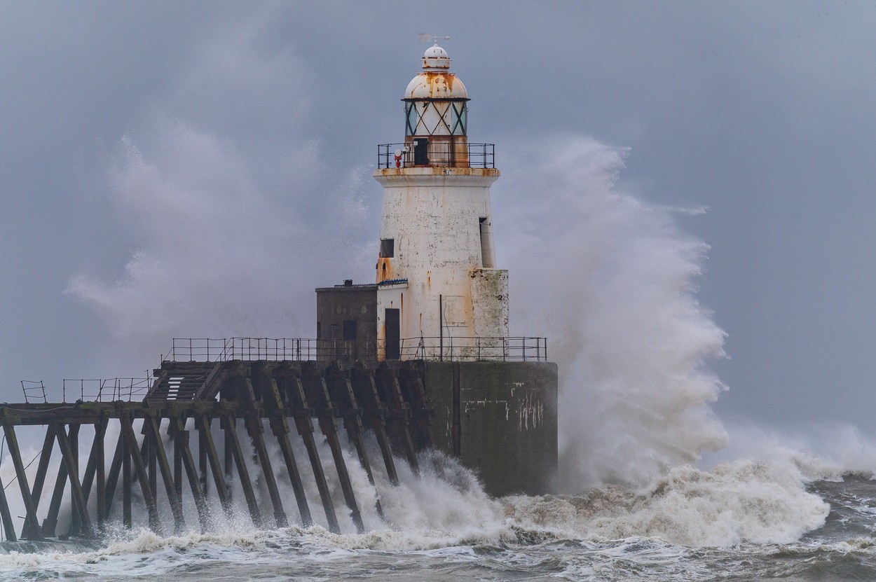 Neurje Gerrit (Foto: PROFIMEDIA)