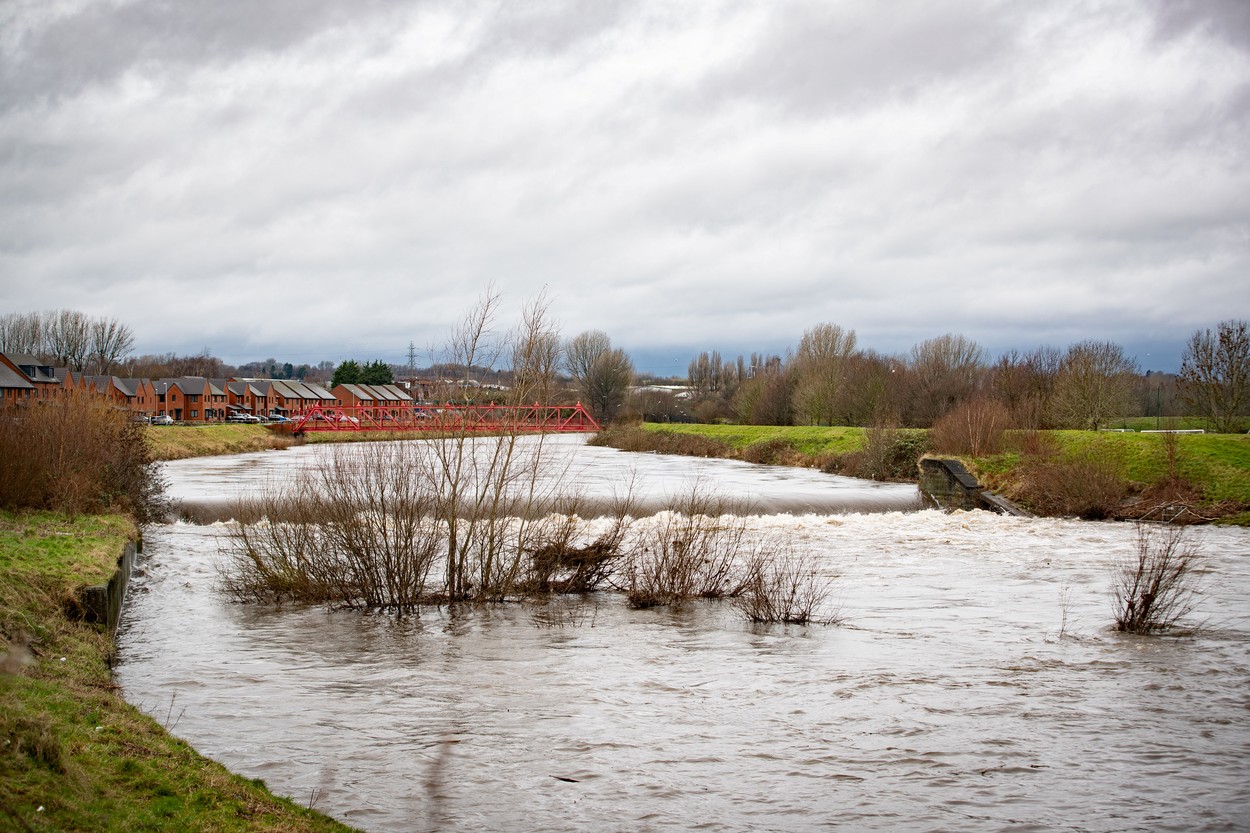 Neurje Gerrit (Foto: PROFIMEDIA)