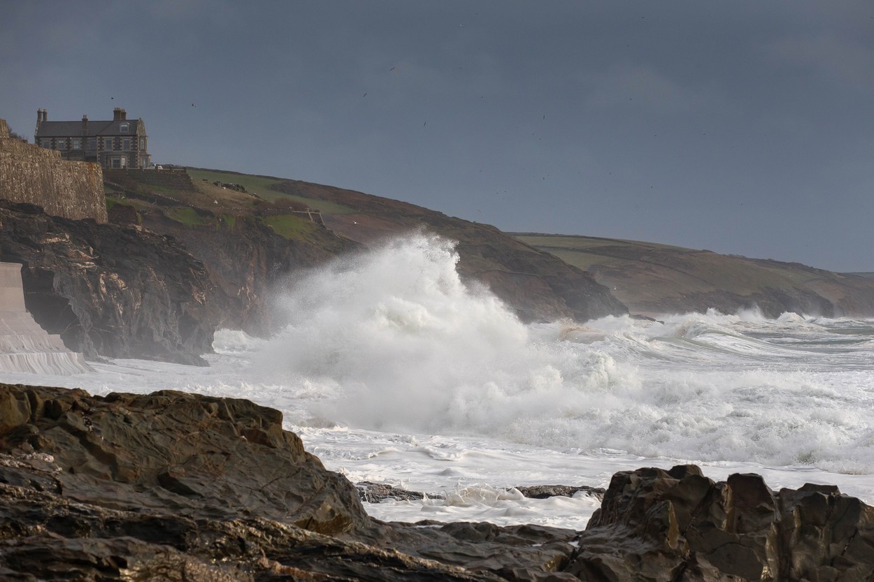 Neurje Gerrit (Foto: PROFIMEDIA)