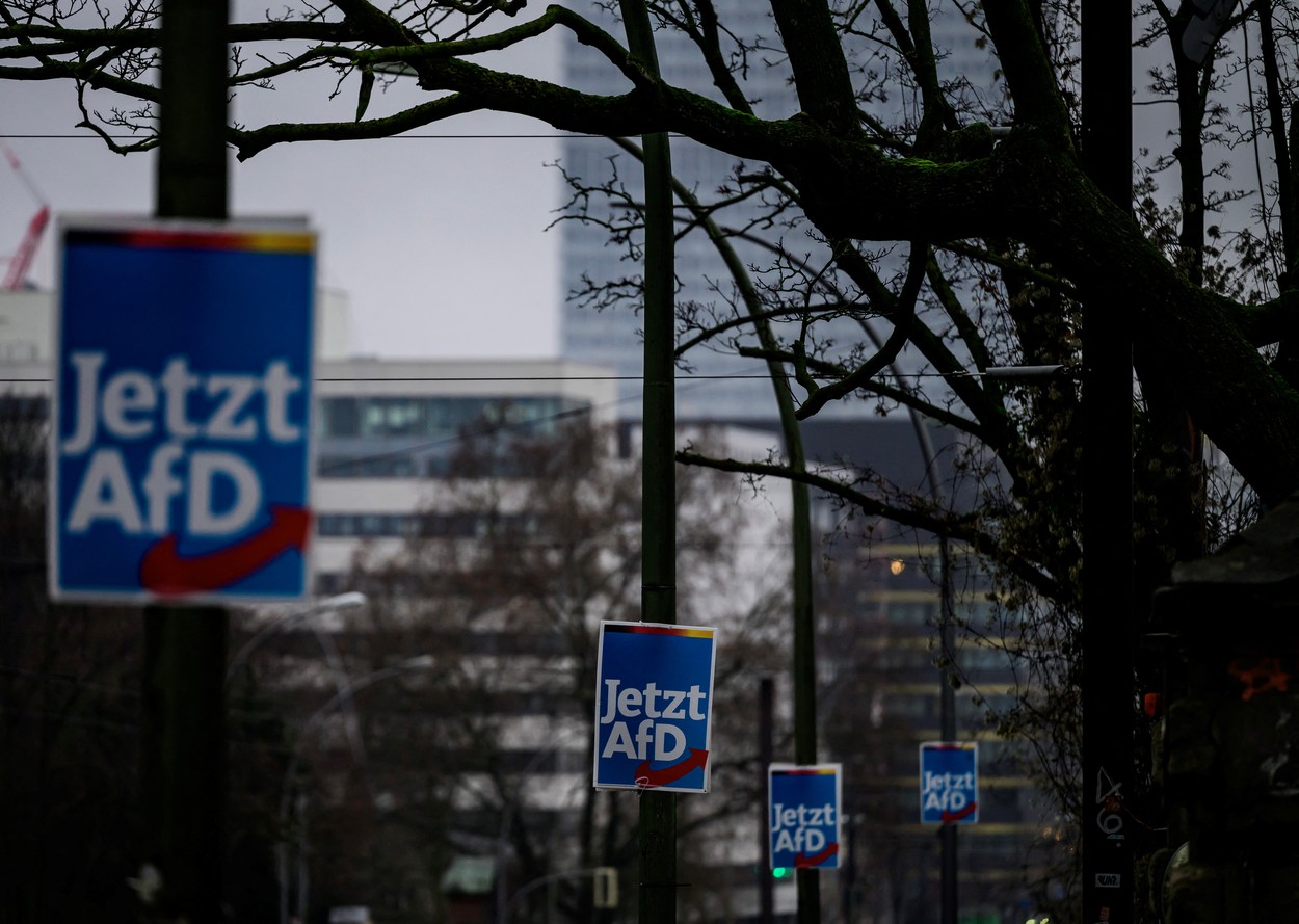 Nemška skrajno desna AfD