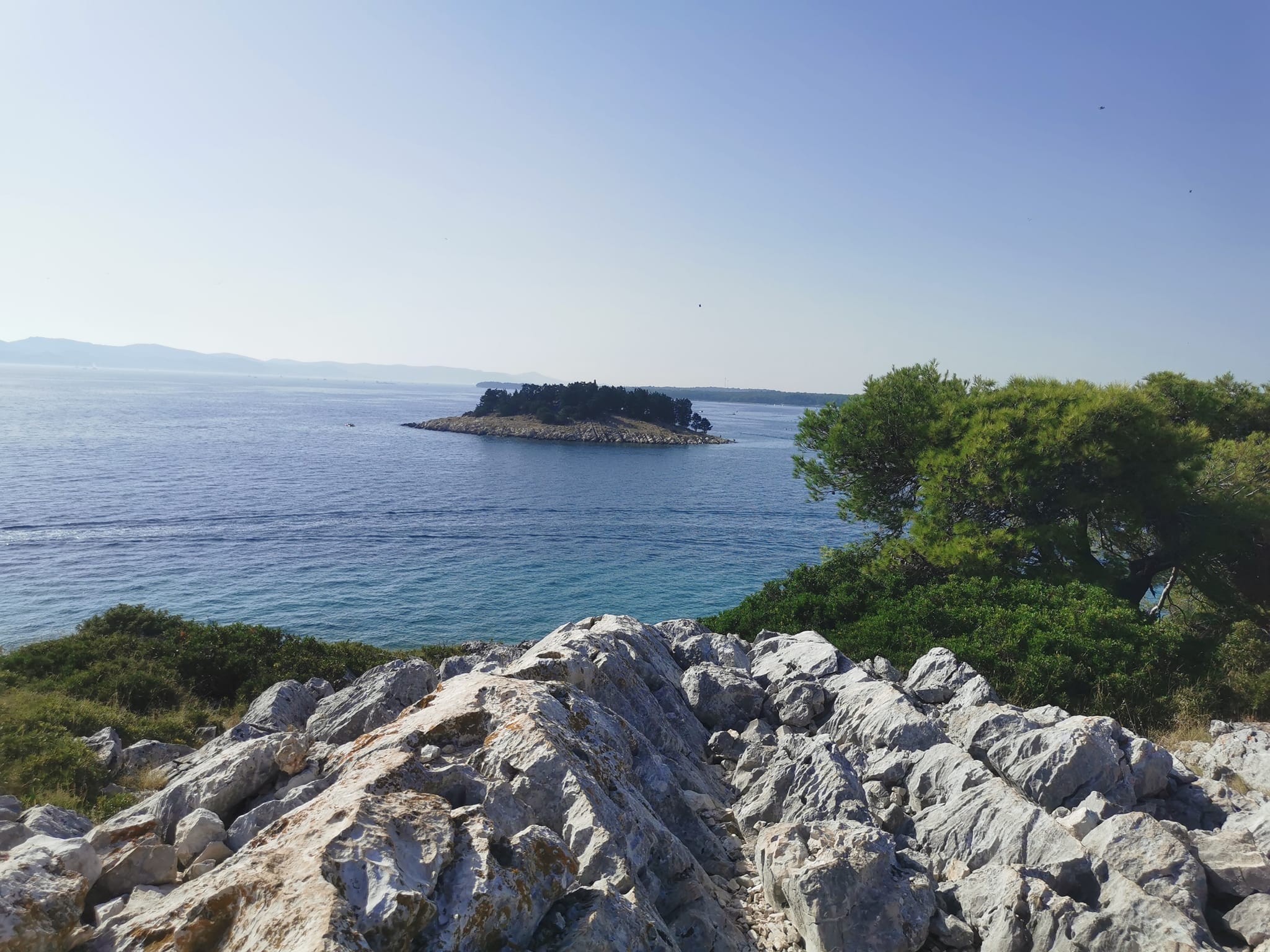 Otok Veli Školj, Hrvaška, morje