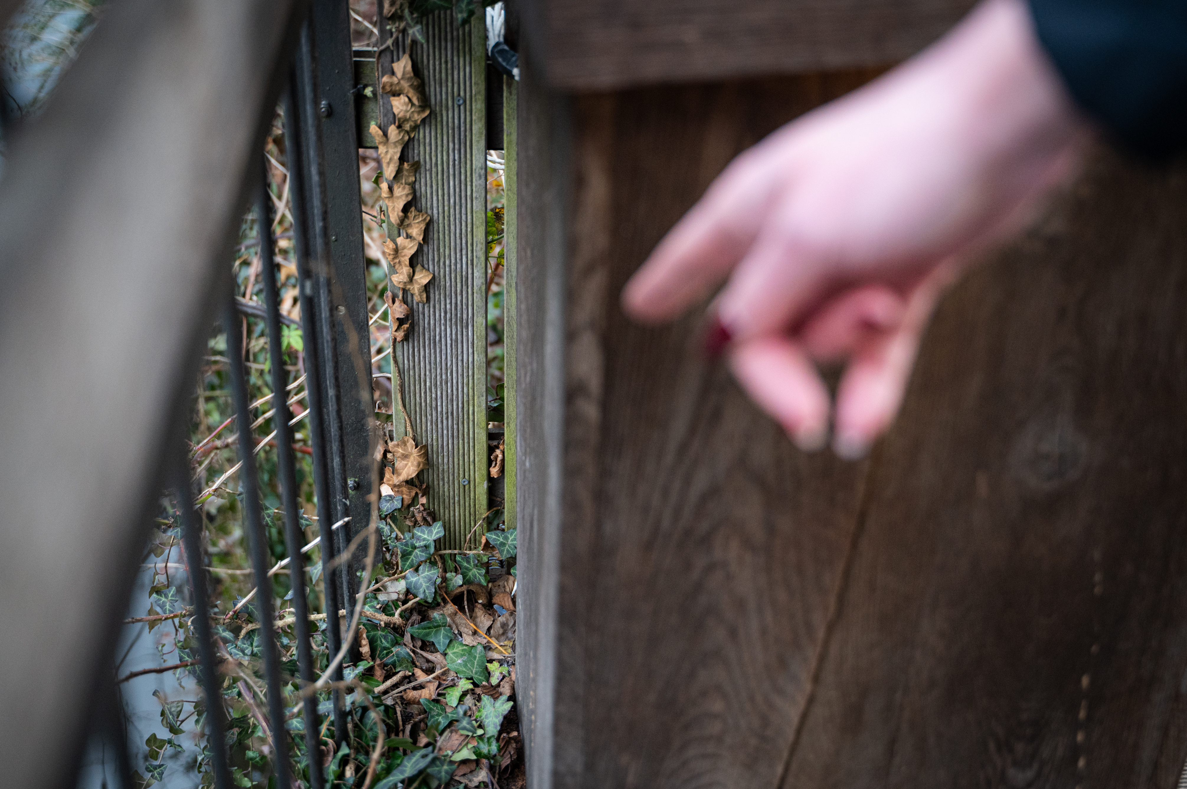 tivoli, čolnarna tivoli, tivolski ribnik