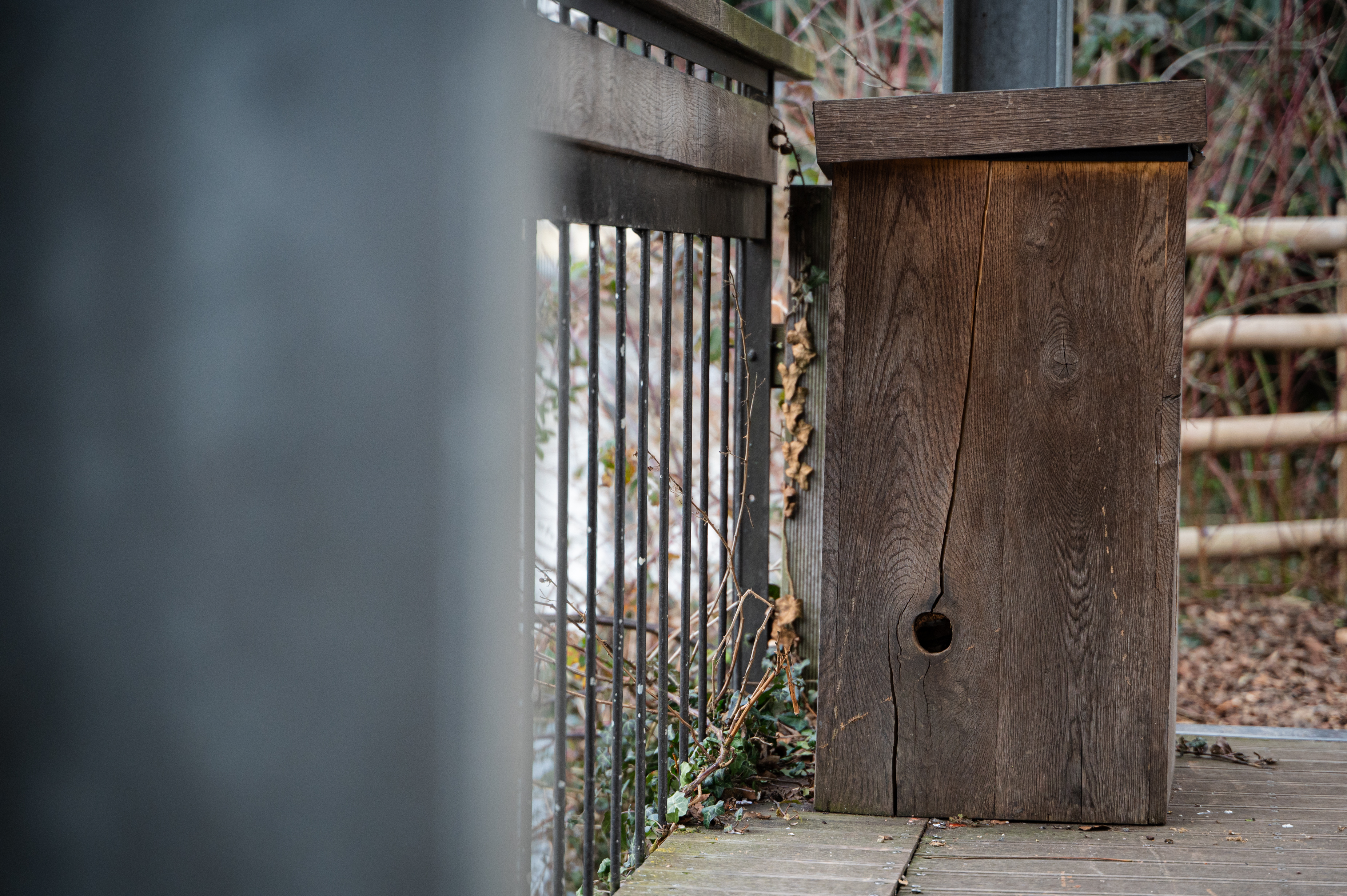 tivoli, čolnarna tivoli, tivolski ribnik