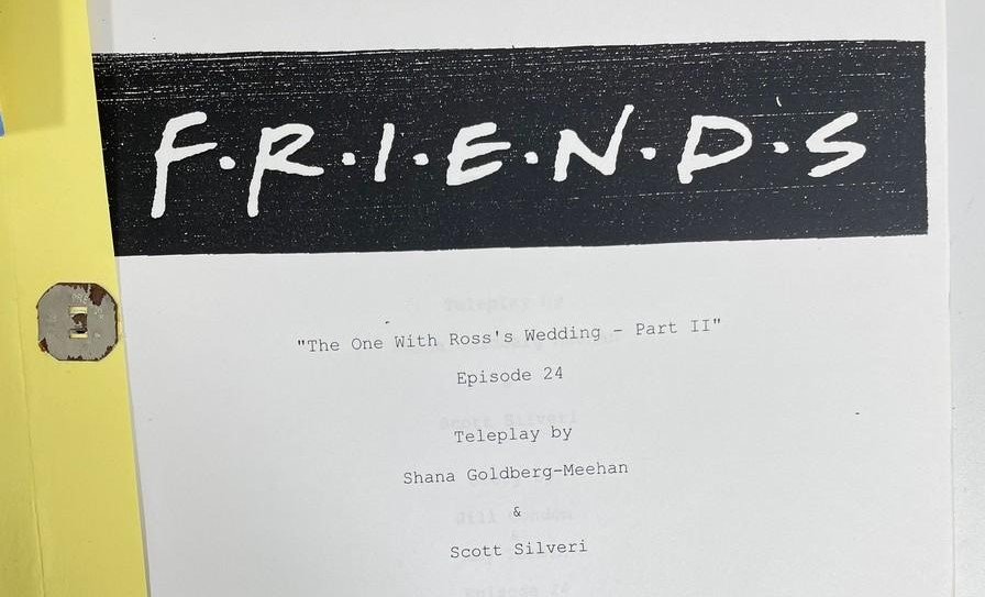 Prijatelji, serija, scenarij dražba