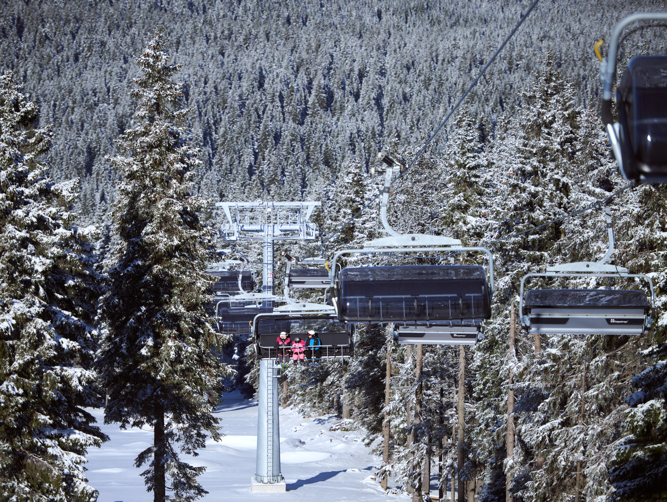 rogla, smučišče, smučanje