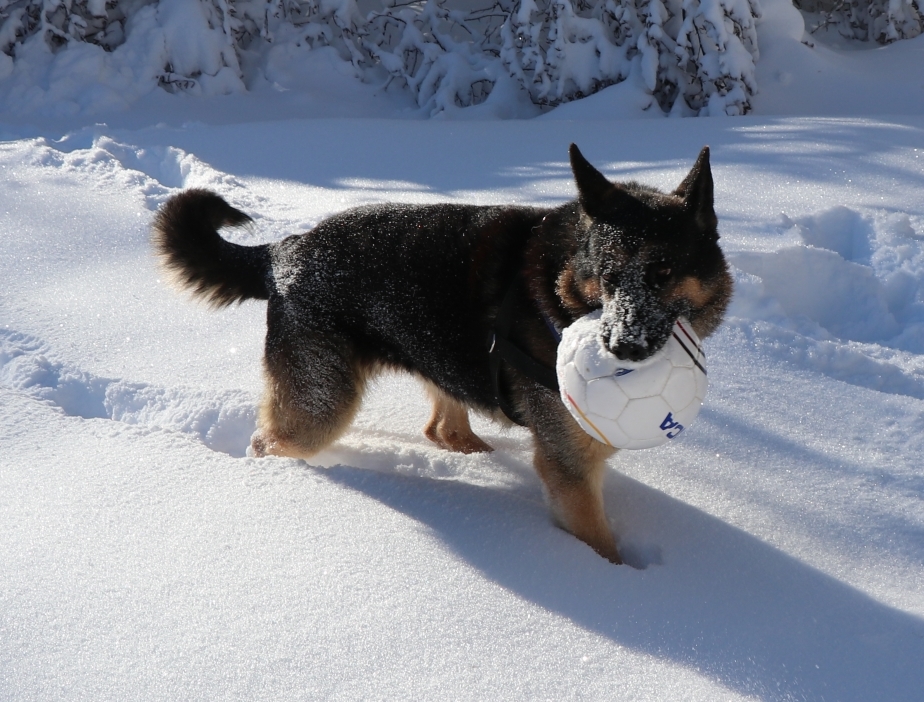 Foto: Policijska uprava Novo mesto /FACEBOOK
