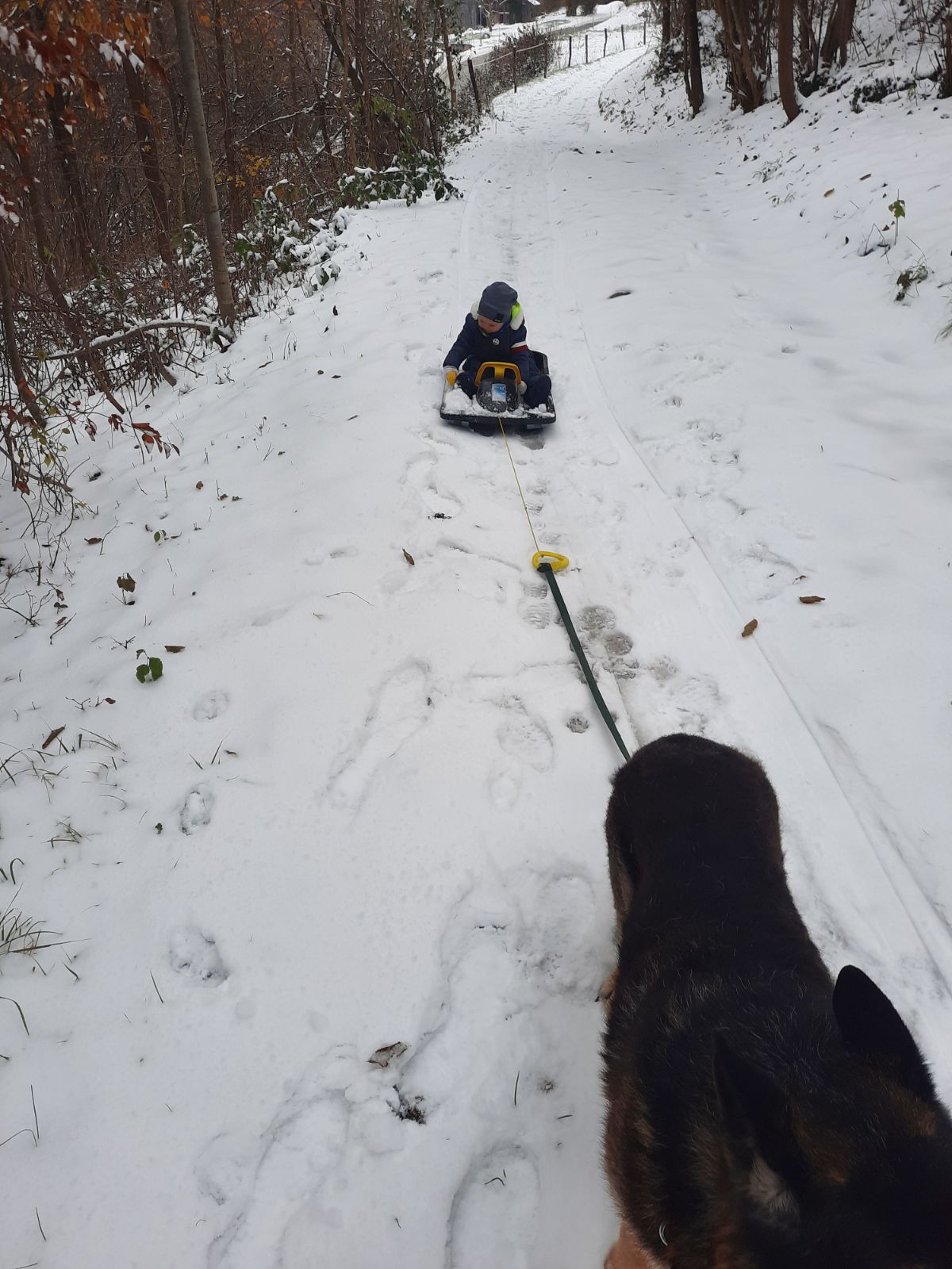 Foto: Policijska uprava Novo mesto /FACEBOOK