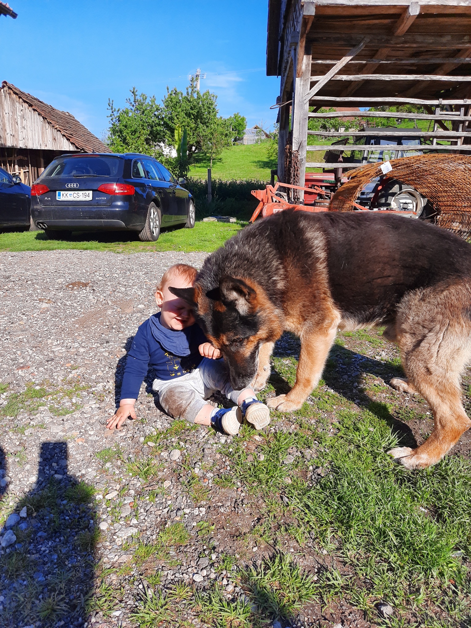 Foto: Policijska uprava Novo mesto /FACEBOOK