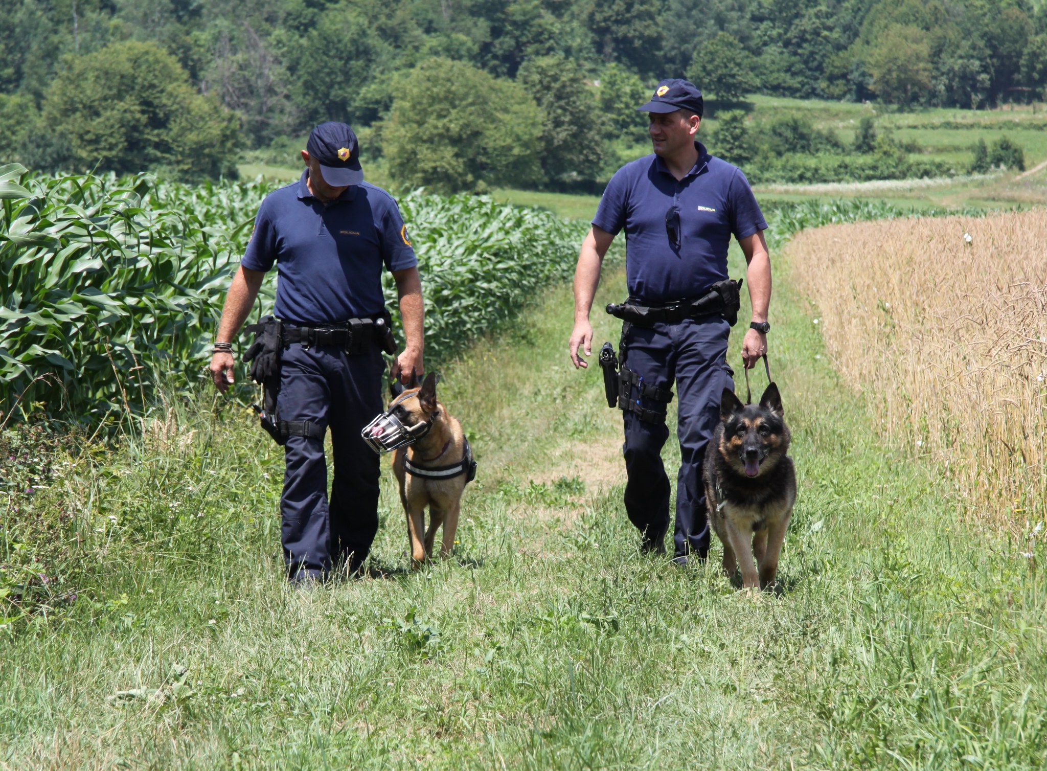 naras policijski pes