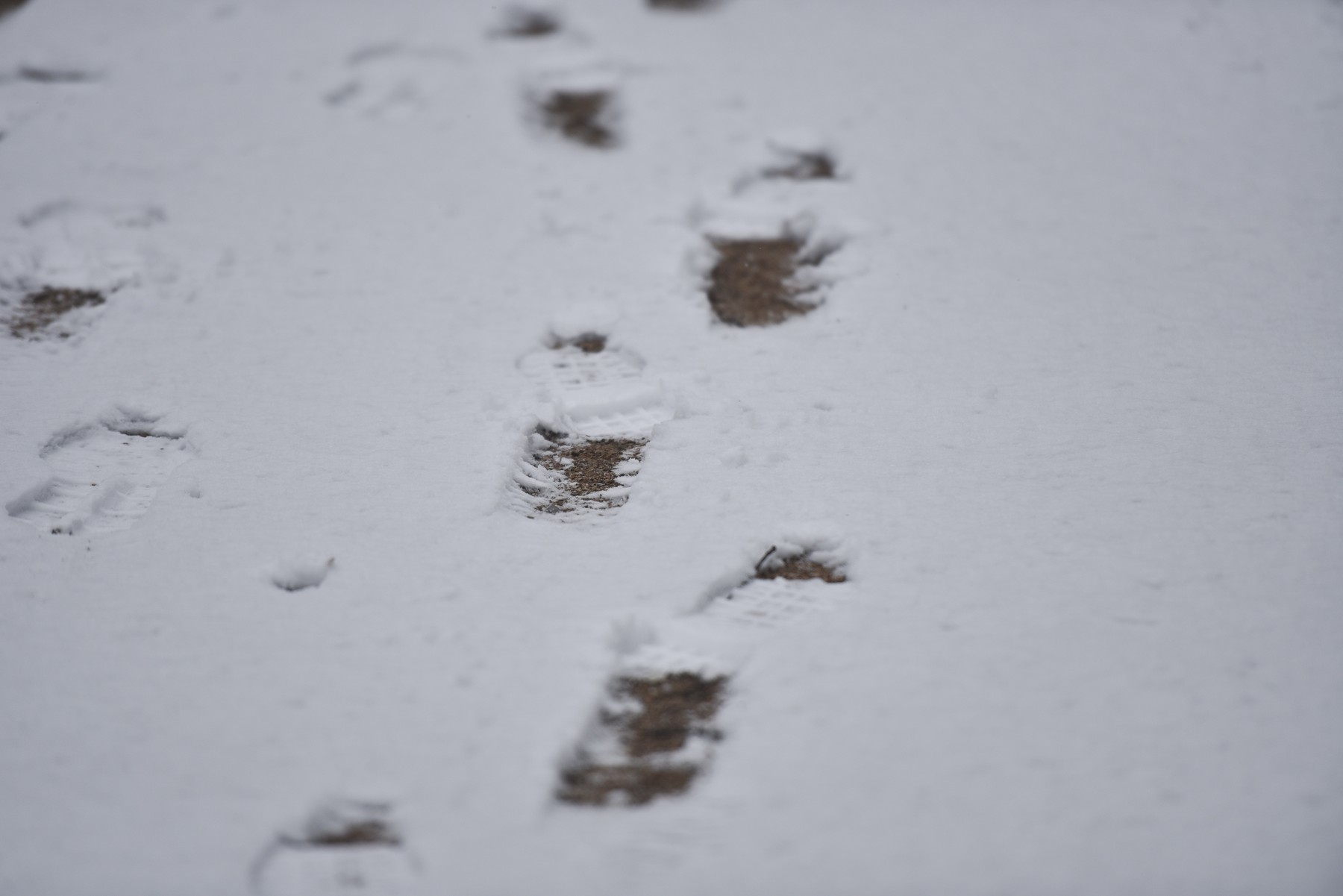 The DANA causes snowfalls in Jaca (Huesca)