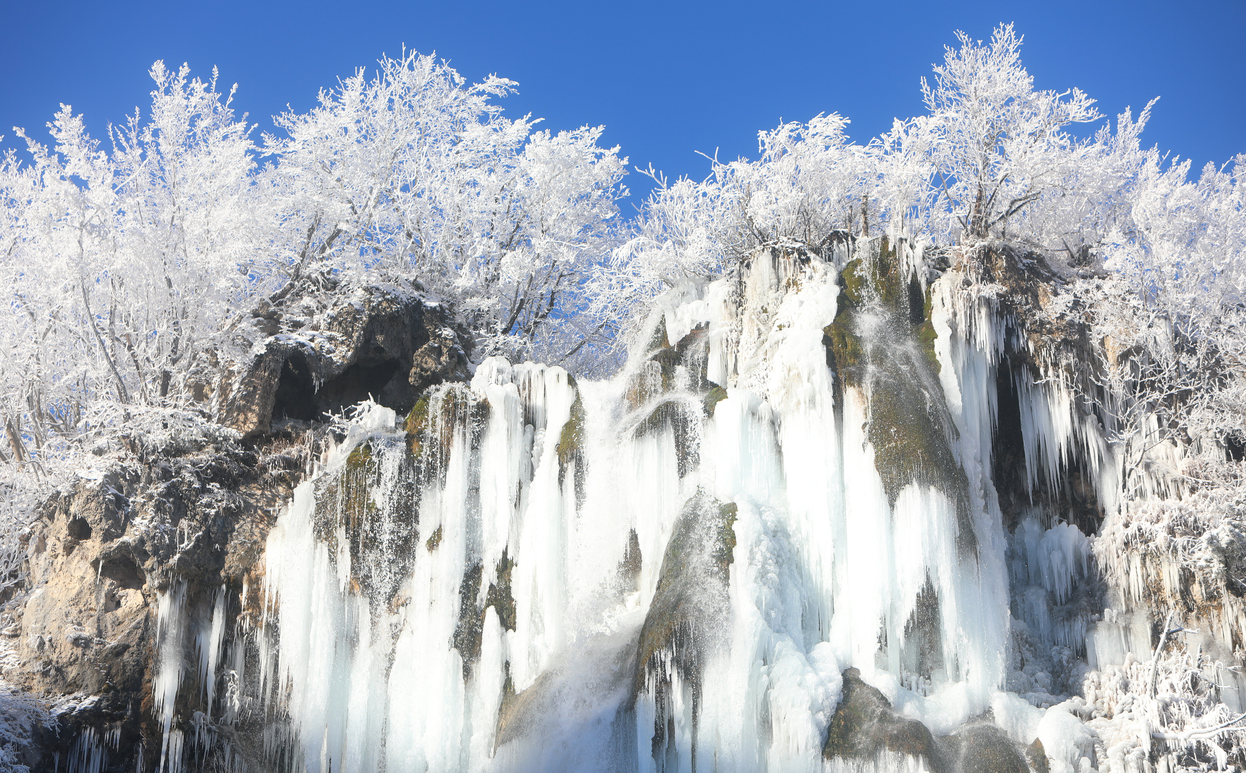 Foto: Kristina Štedul Fabac/PIXSELL/BOBO