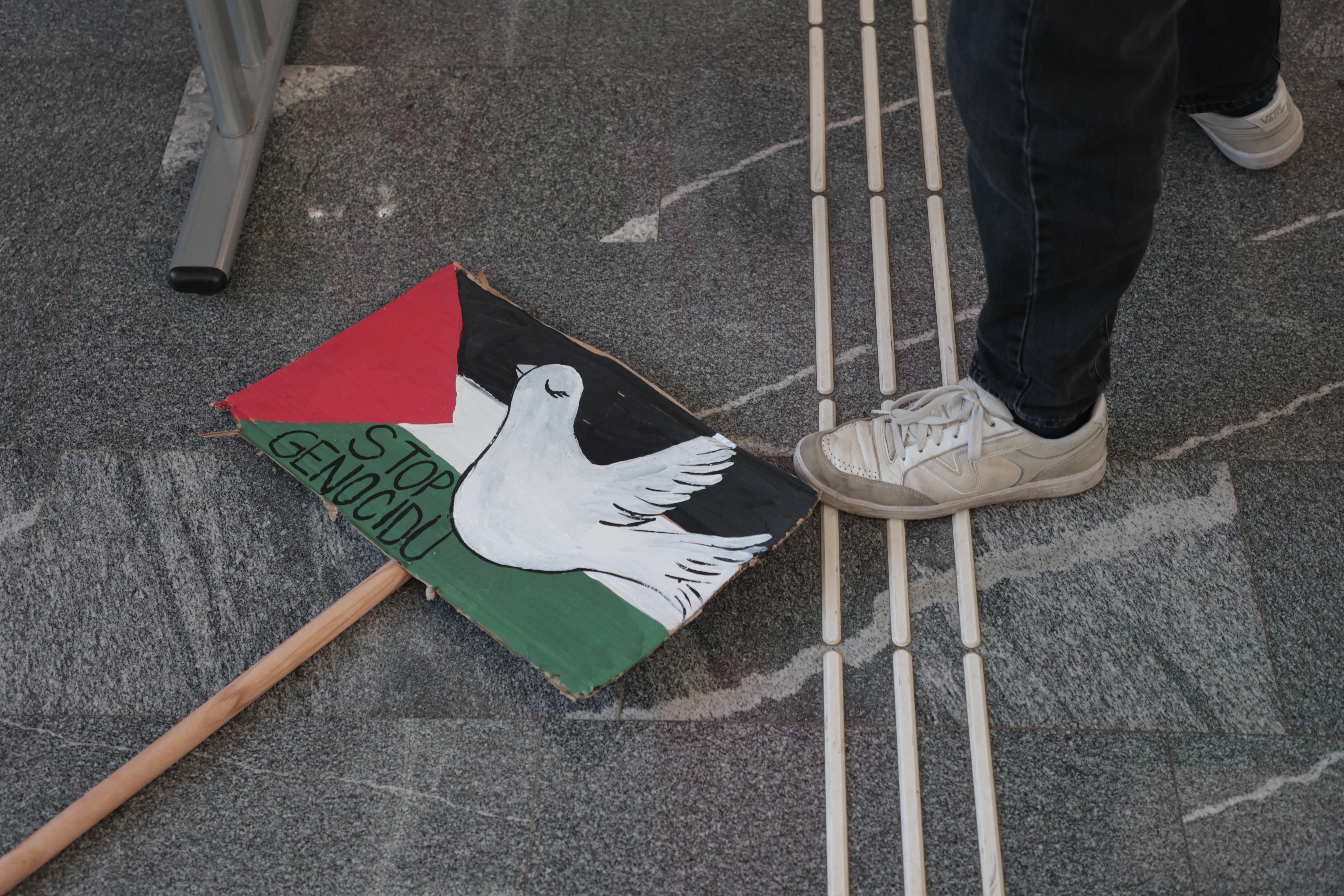 FDV, shod za Palestino, študenti