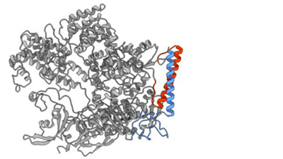proteini, tehnologija