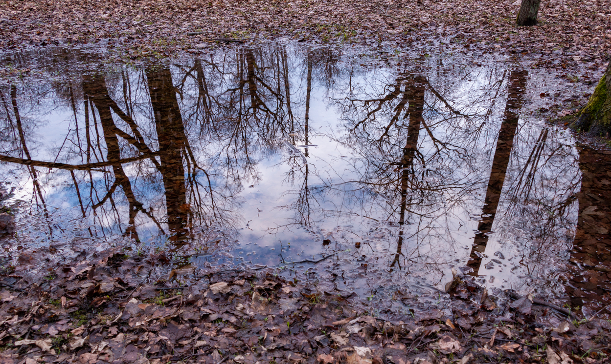 dež, jesen, zima, luža, vreme