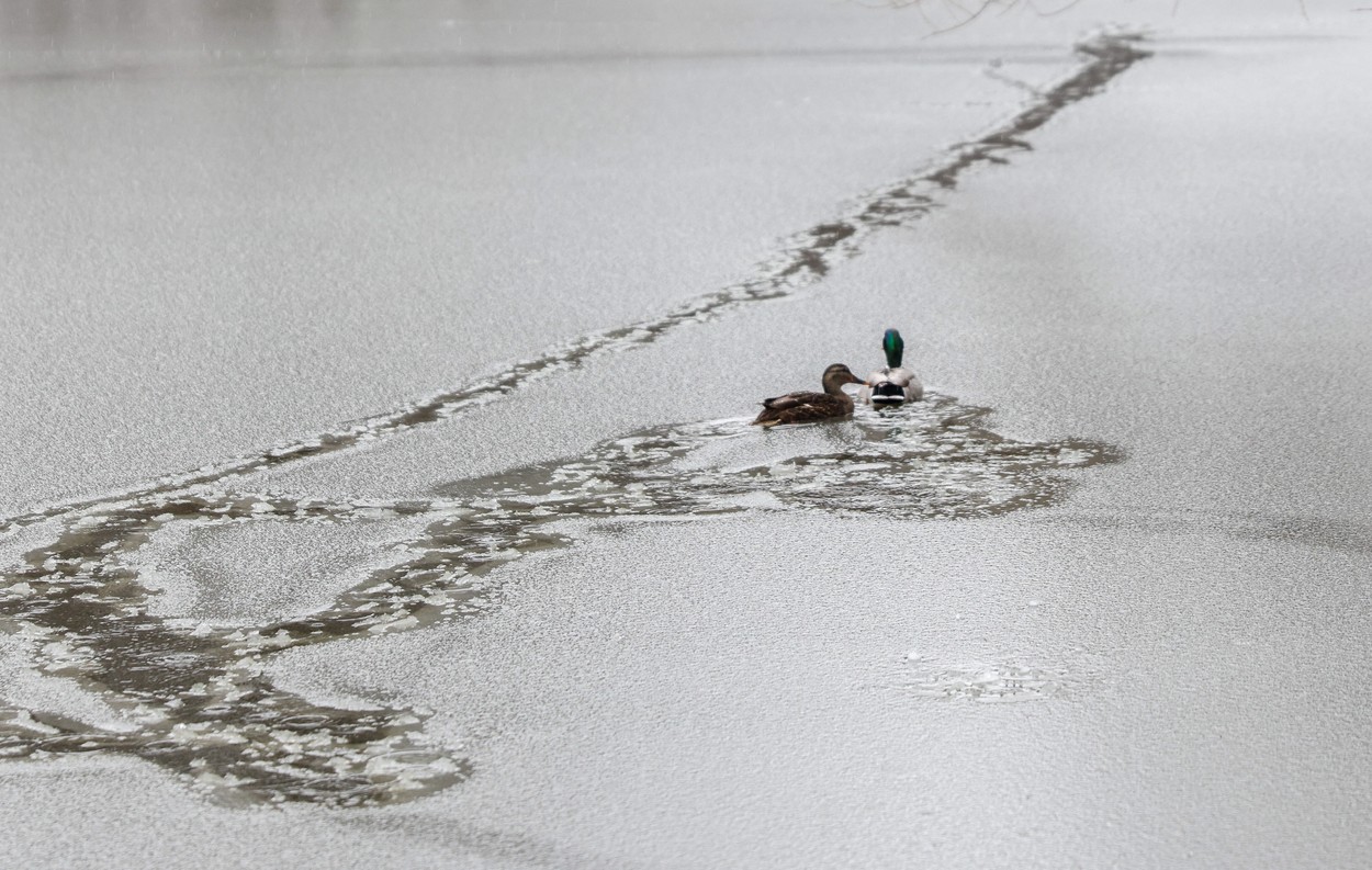 ZDA, NEURJE, MRAZ, VREME