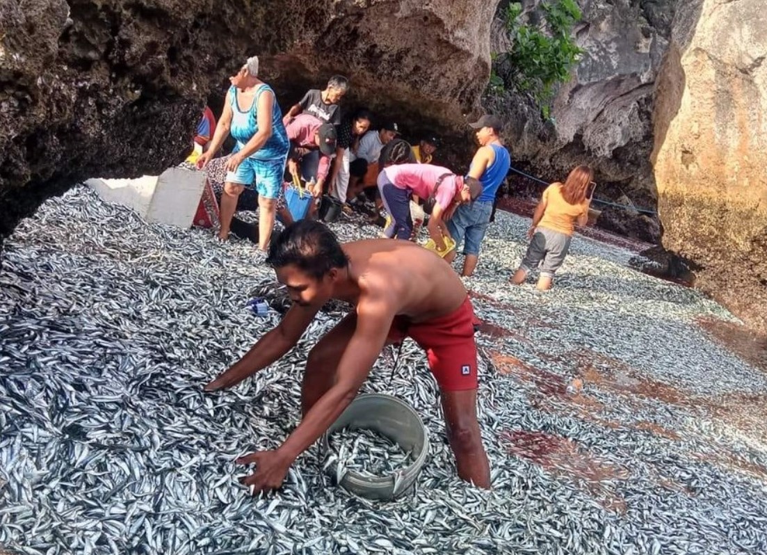 Filipini, sardele, naplavljene