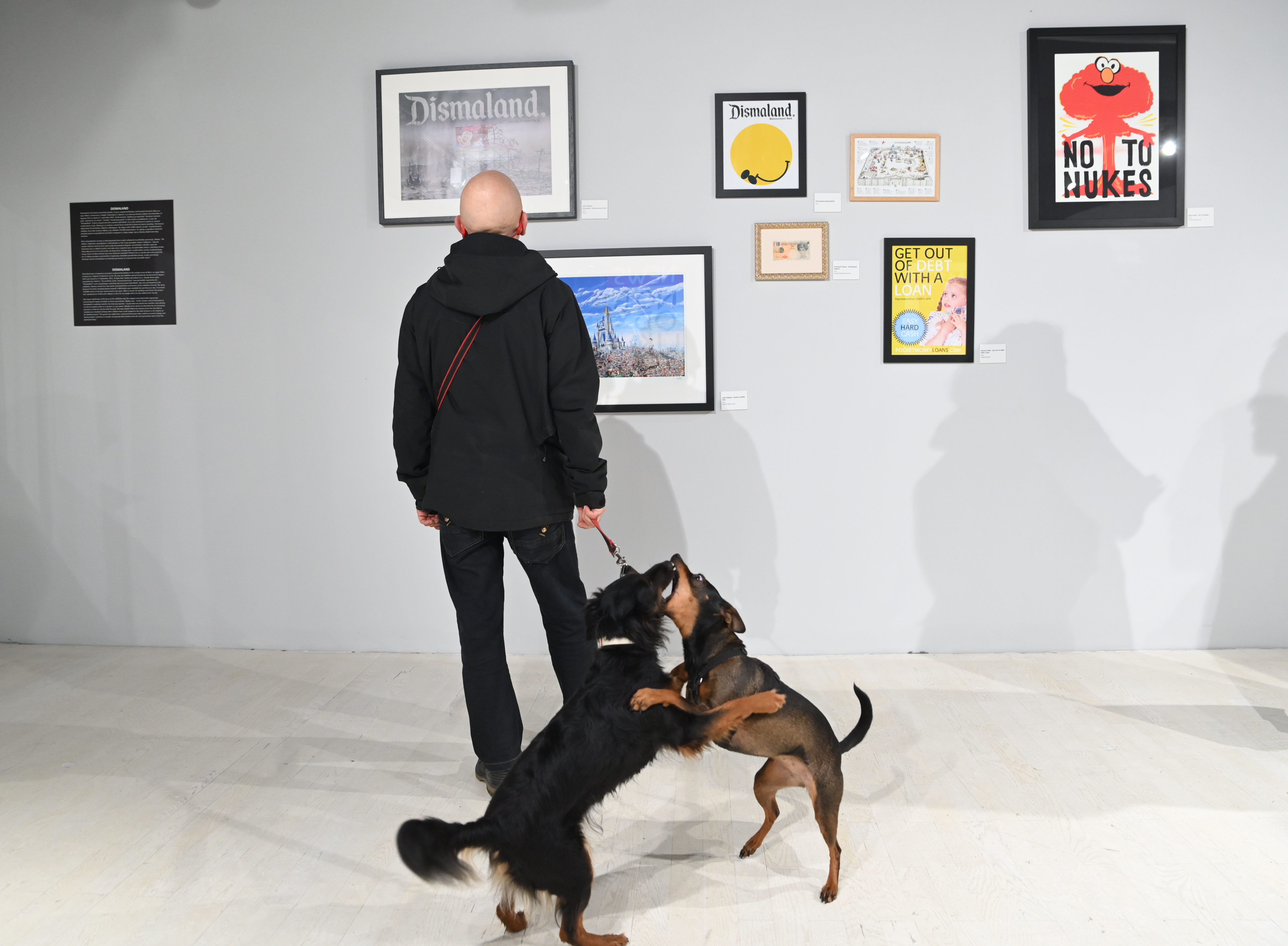 Foto: Žiga Živulović jr./Bobo