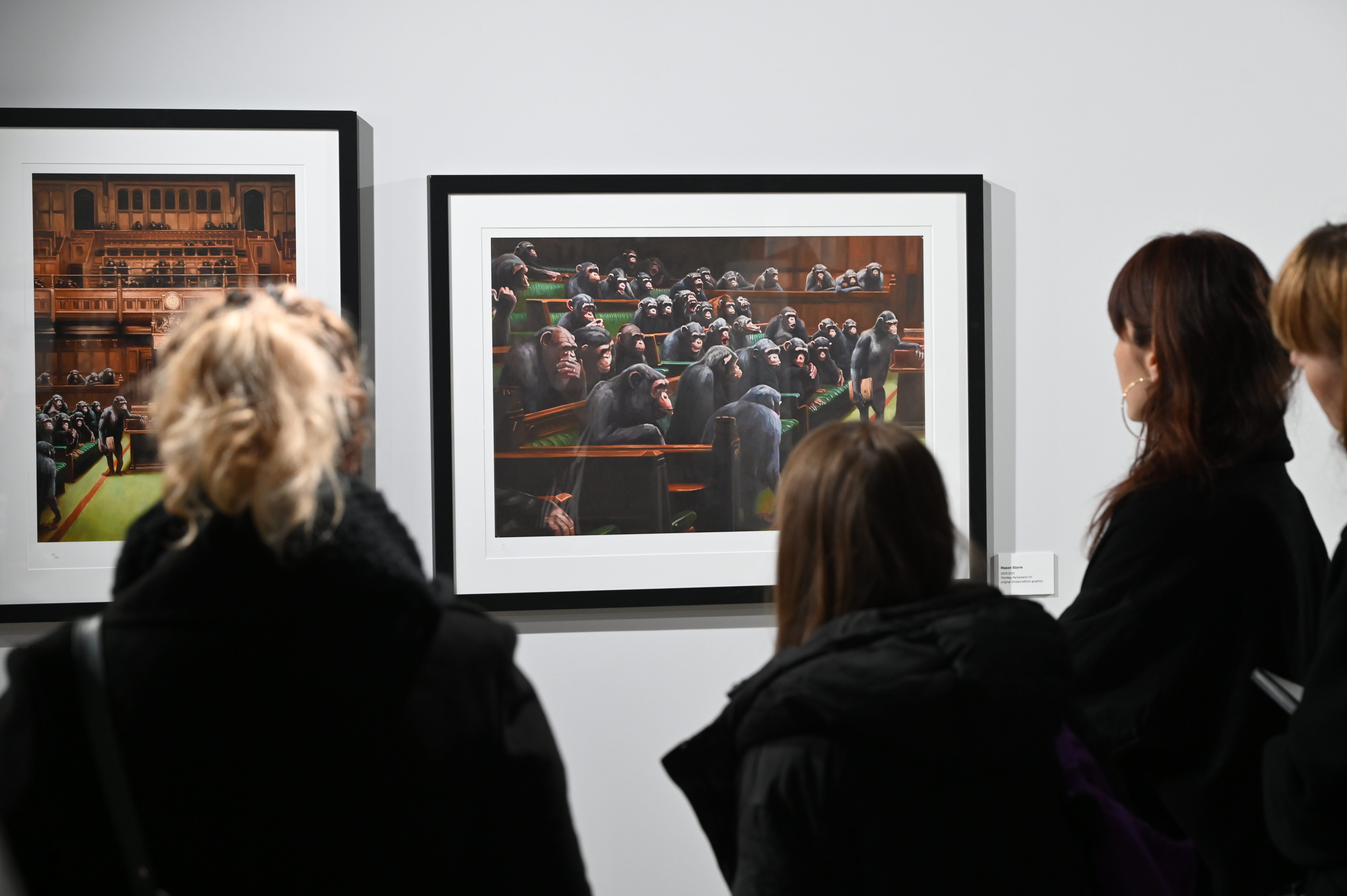 Foto: Žiga Živulović jr./Bobo