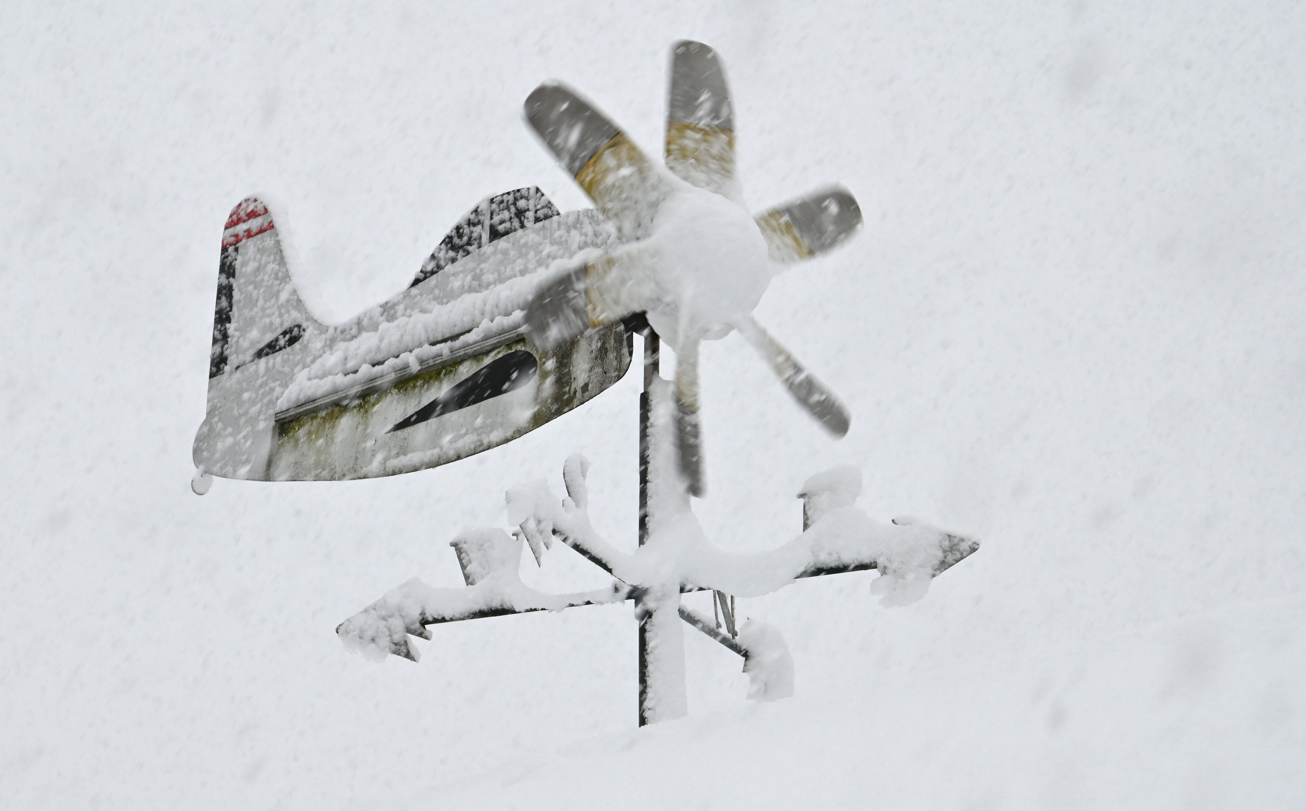 Foto: Žiga Živulović jr./Bobo