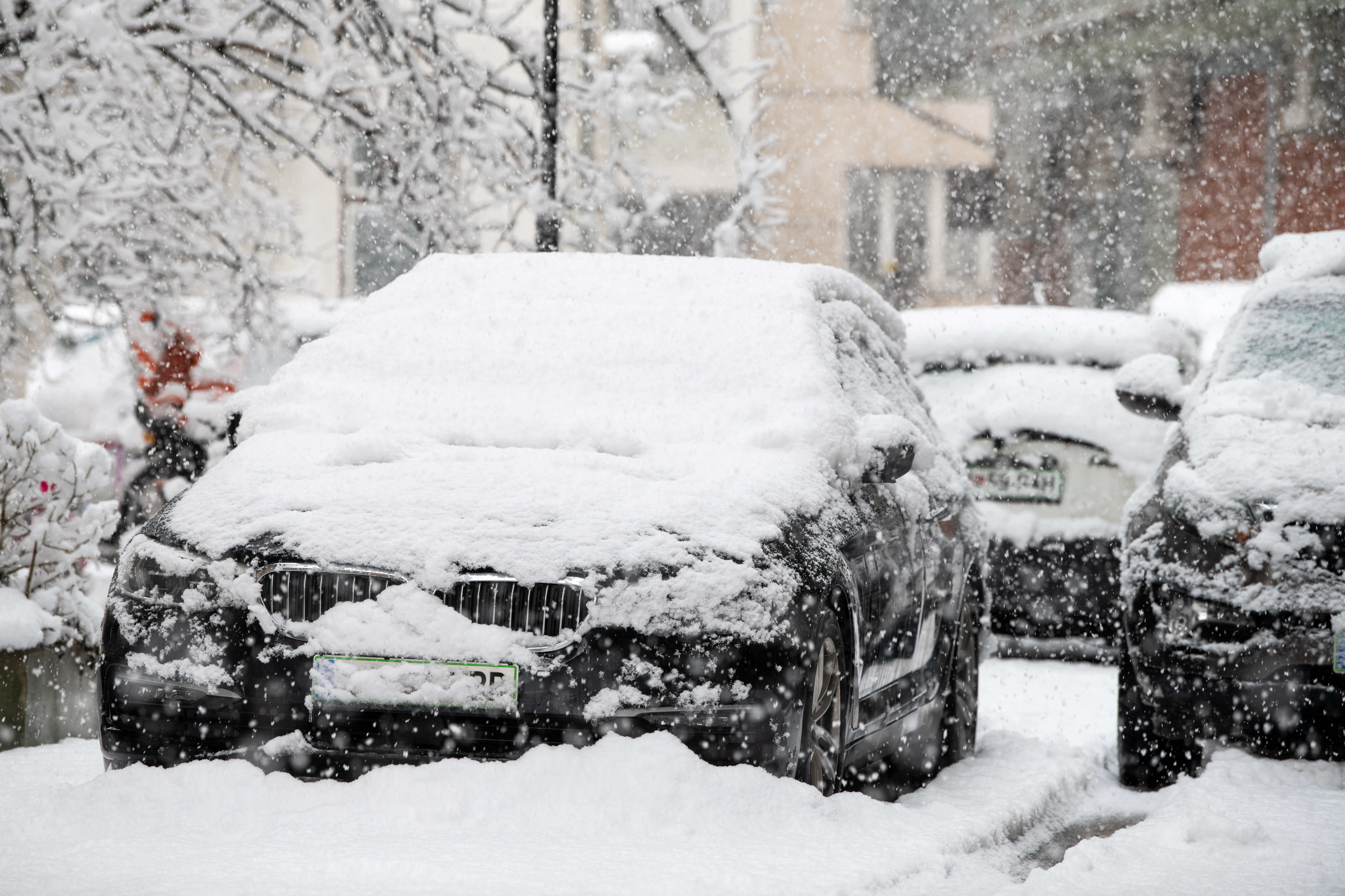 zima, sneg, ljubljana