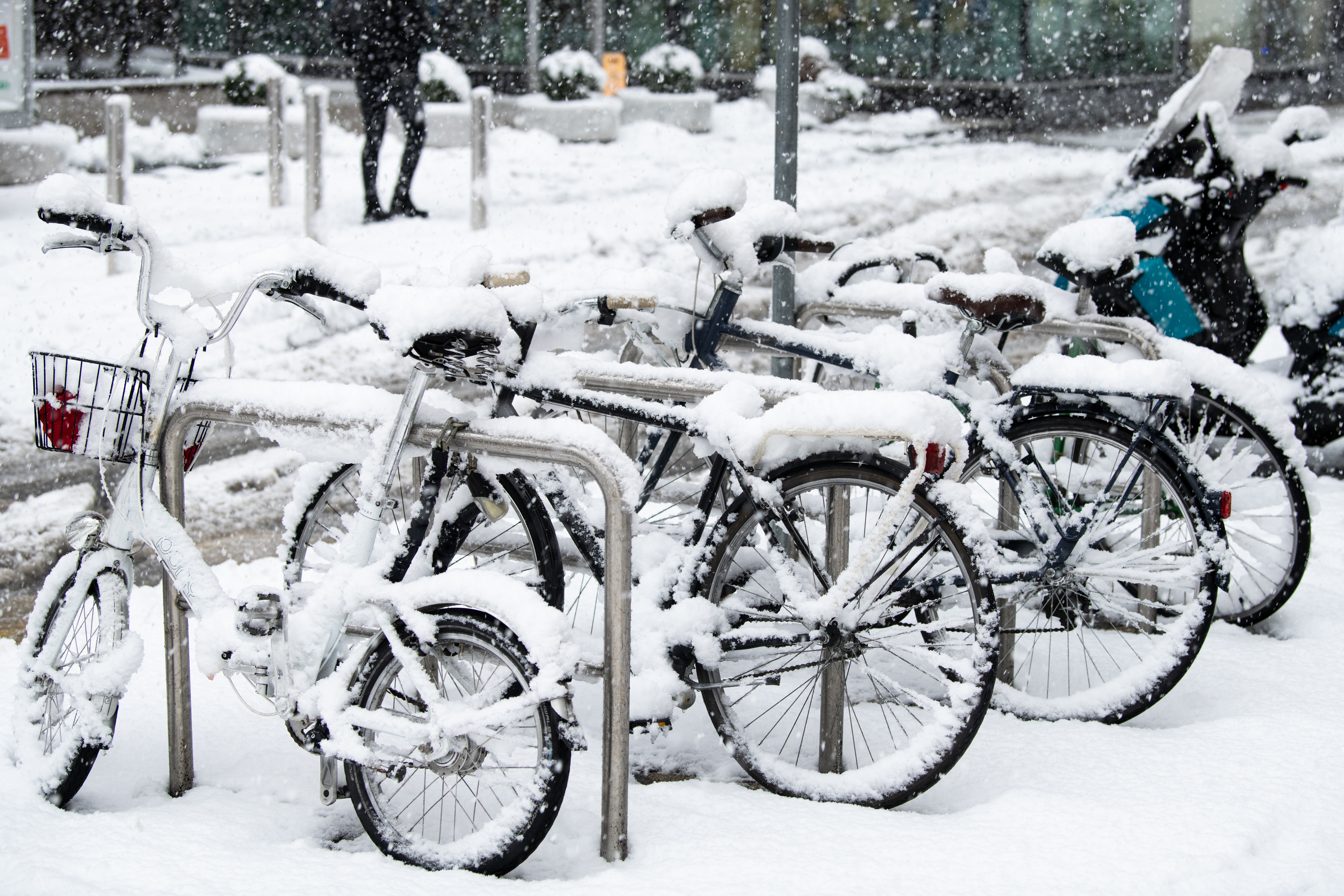 zima, sneg, ljubljana