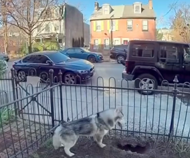 haski, uhajanje plina, junak