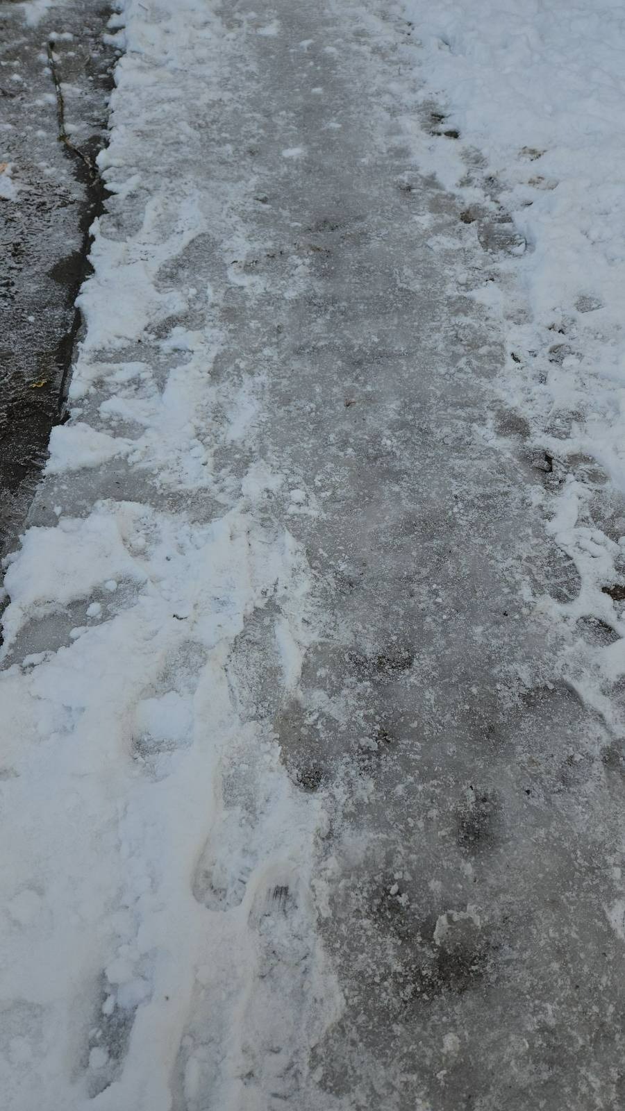 Ljubljana, Bežigrad (Foto: N1)