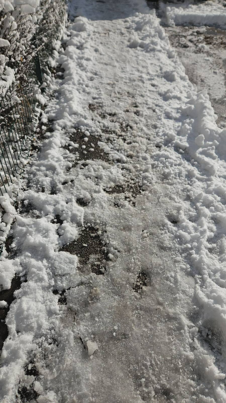 Ljubljana, Bežigrad (Foto: N1)