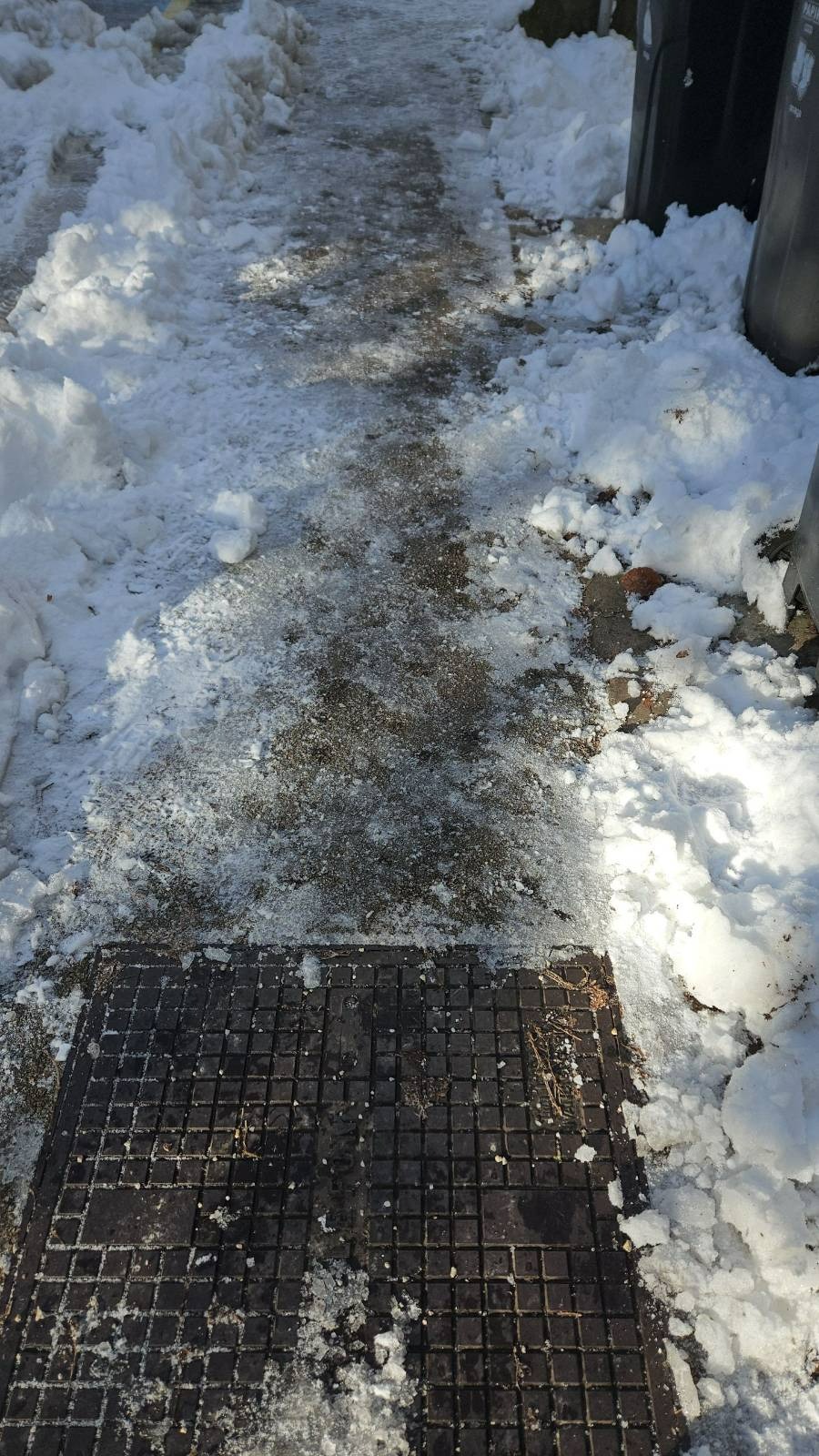 Ljubljana, Bežigrad (Foto: N1)