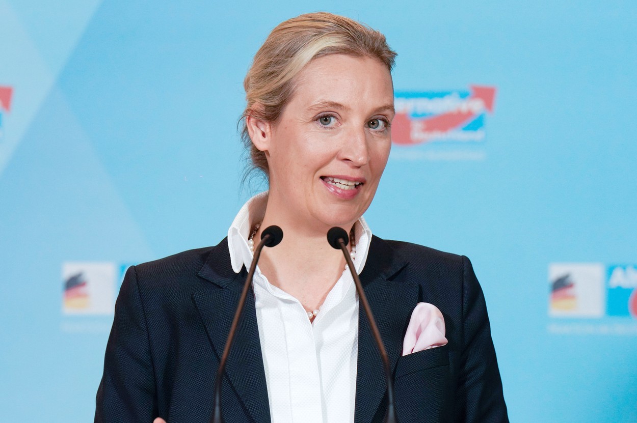 alice weidel, afd, alternativa za nemčijo