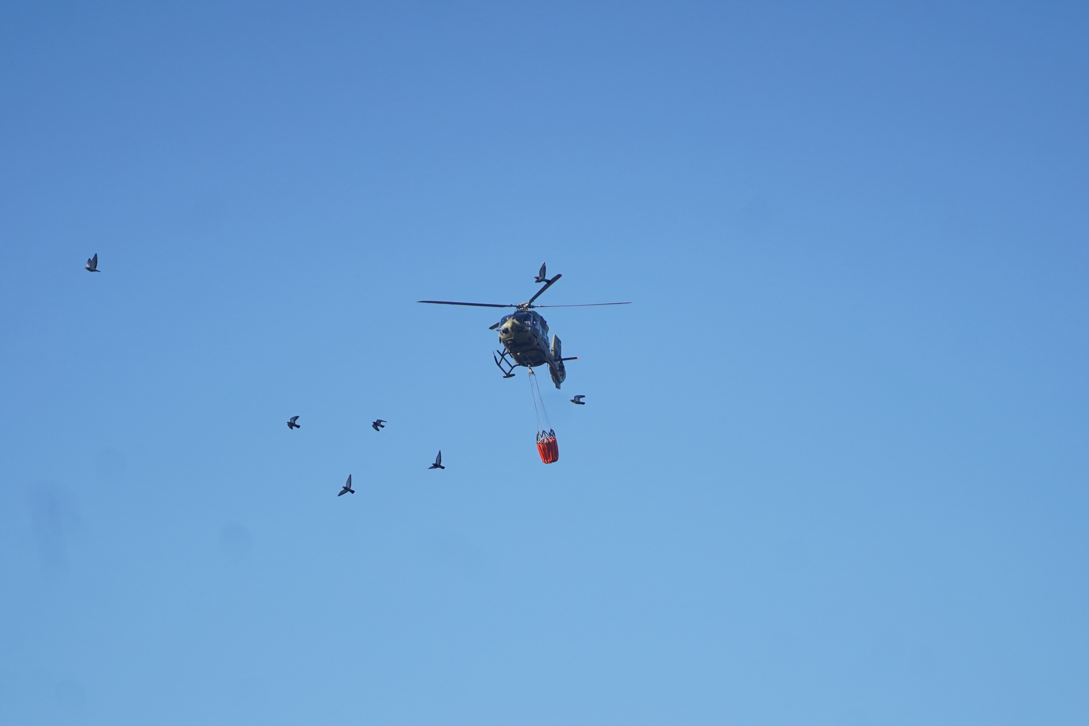 Požar v beograjskem trgovskem centru. (Foto: Antonio Ahel/ATAImages Foto: Antonio Ahel/ATAImages/PIXSELL/BOBO)