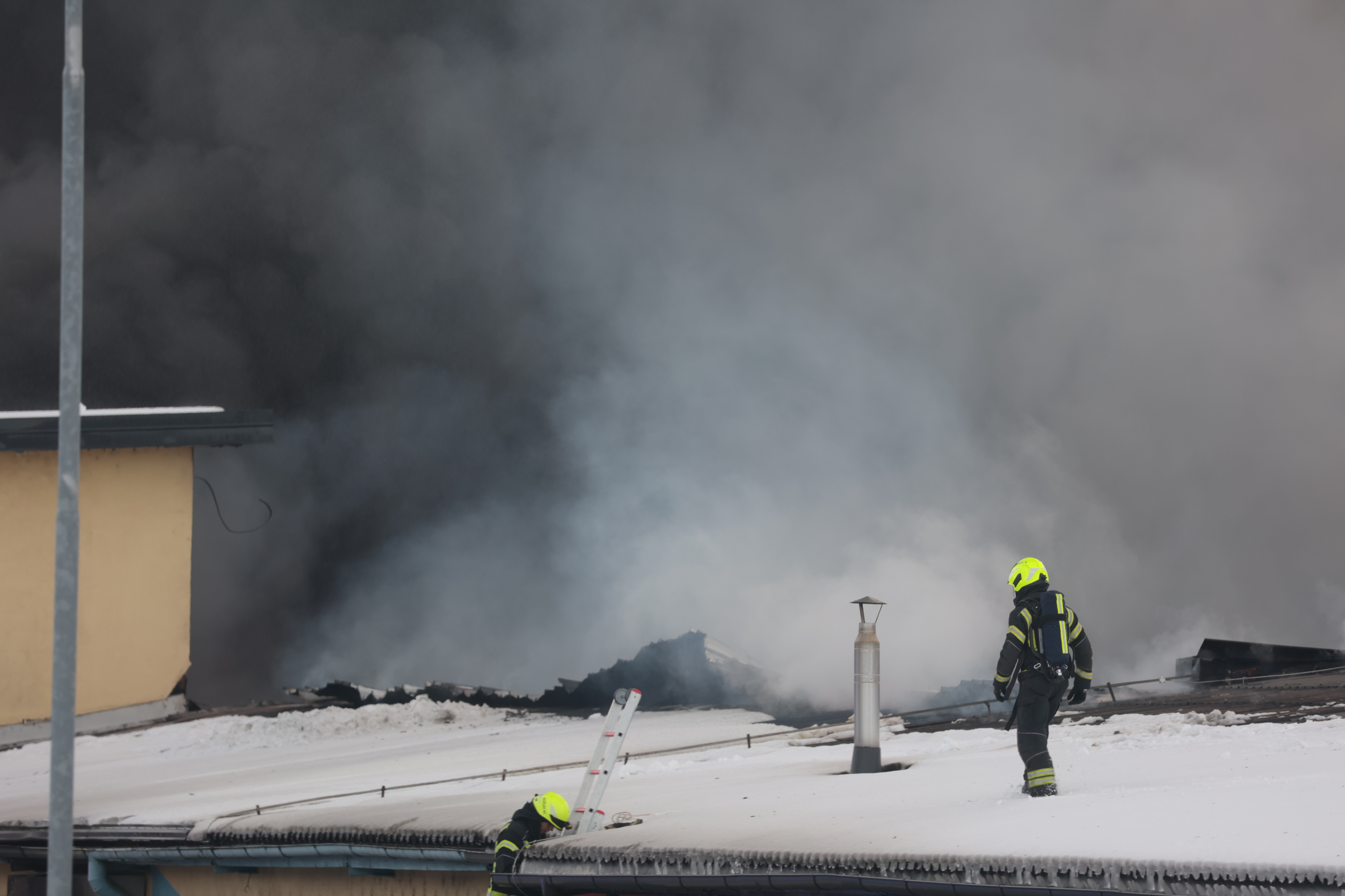 Foto: Borut Živulović/BOBO