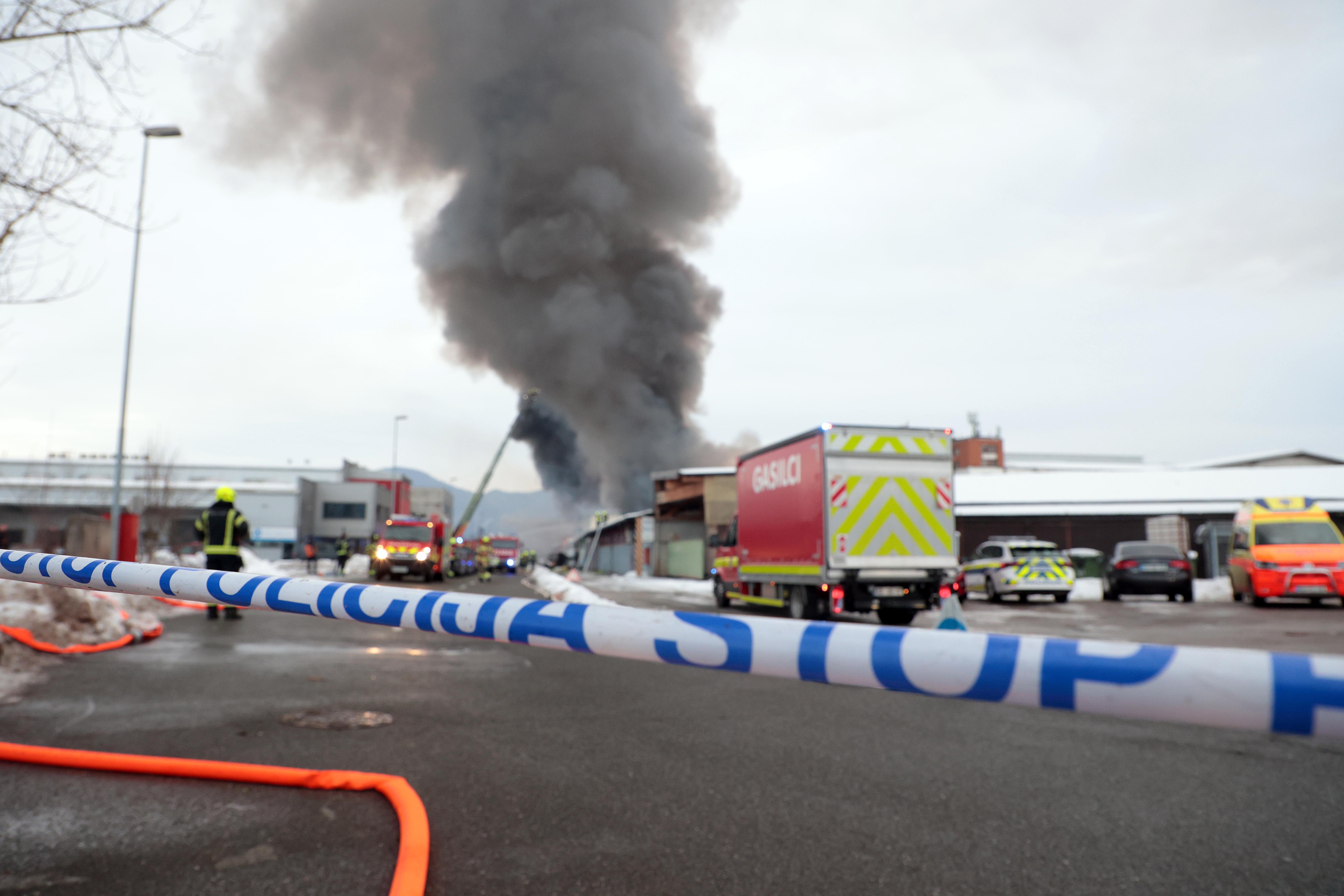 Foto: Borut Živulović/BOBO