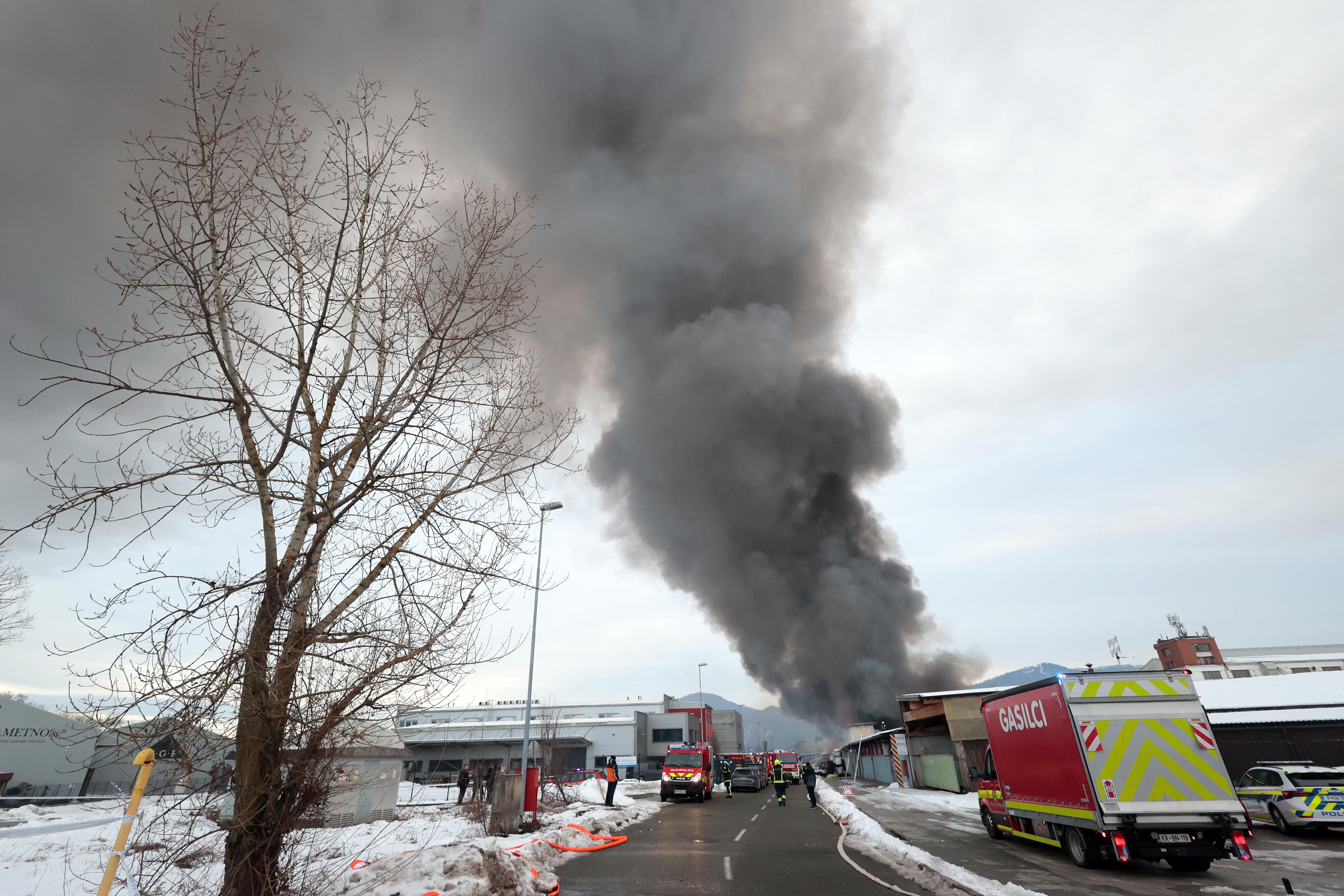 Foto: Borut Živulović/BOBO