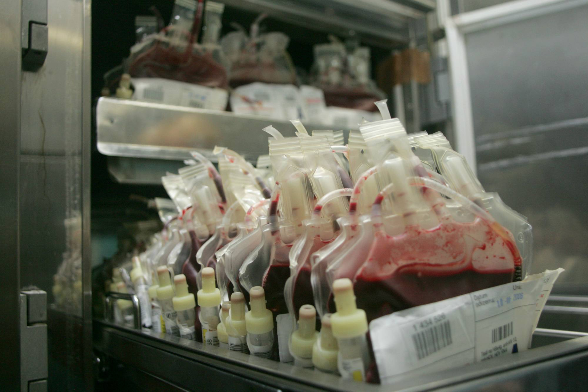 KRVODAJALEC ZAVOD ZA TRANSFUZIJO KRVI