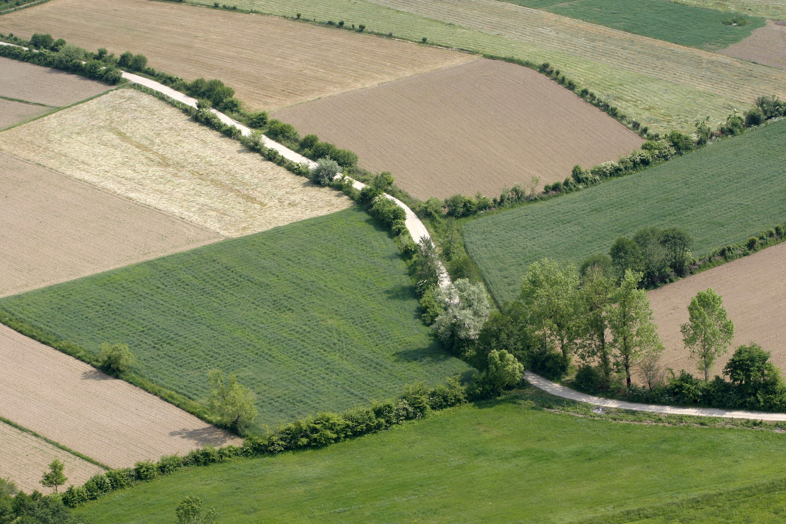 kmetijska zemlijšča