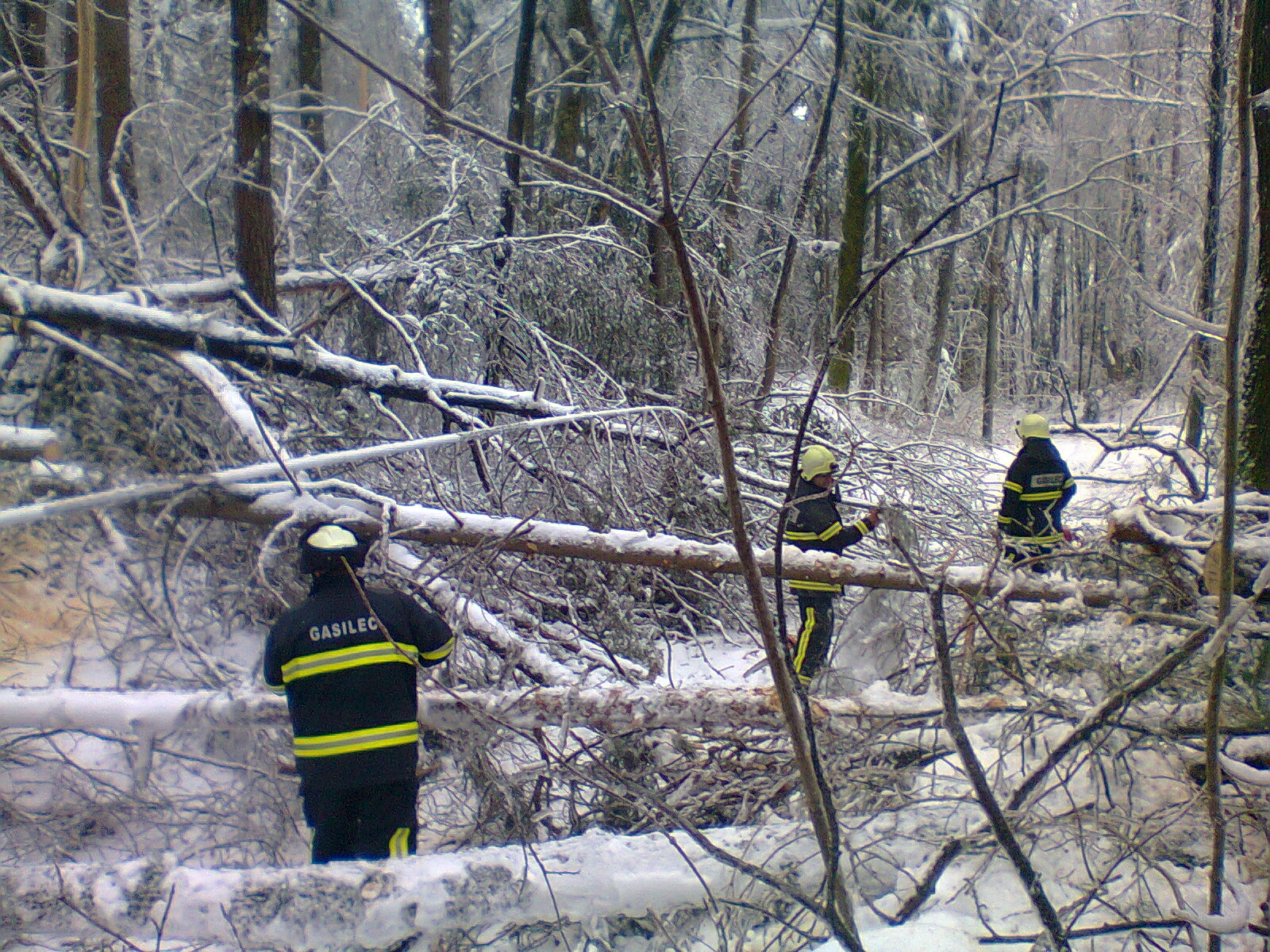 Foto: Darko Muhič/GZS