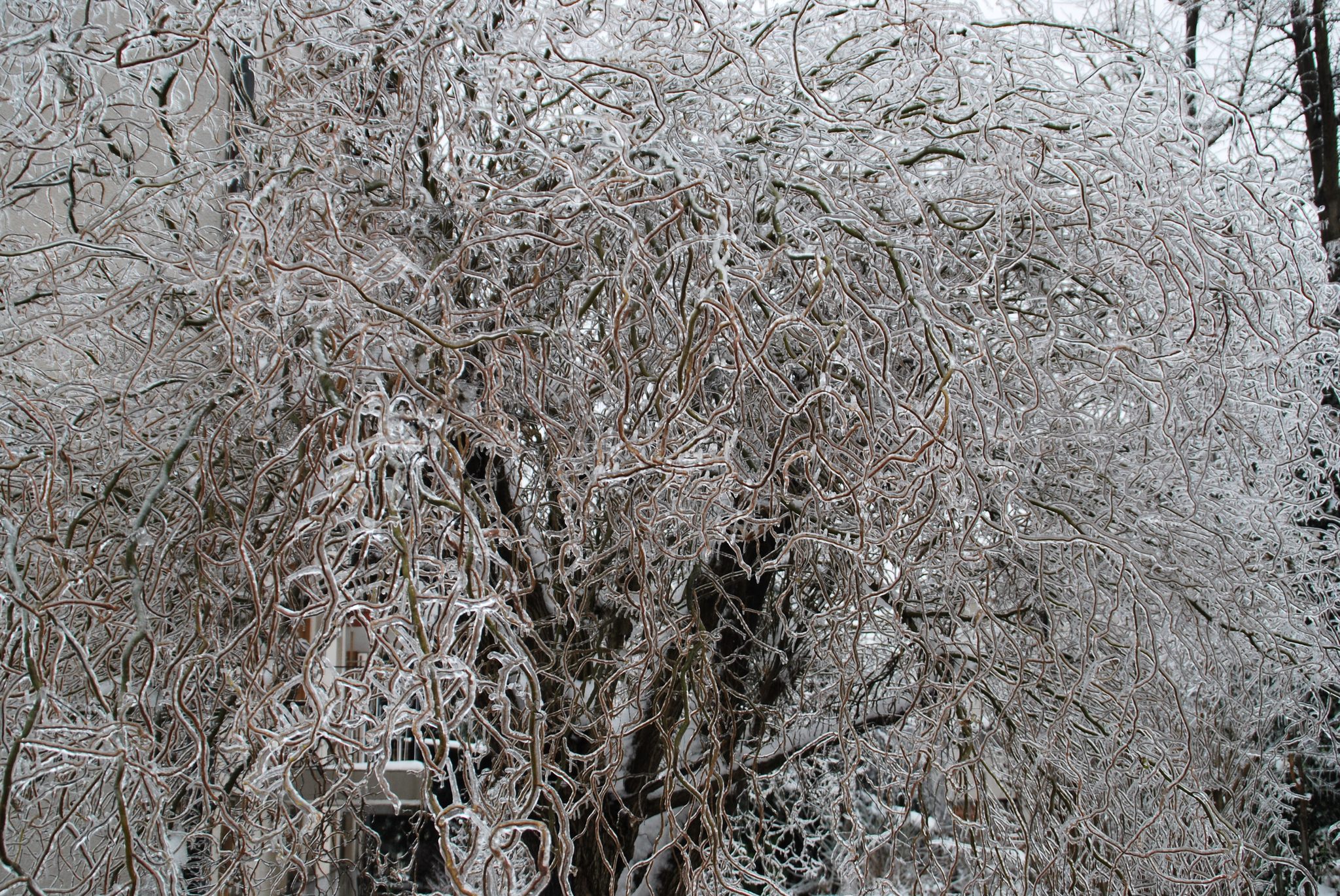 Foto: Darko Muhič/GZS