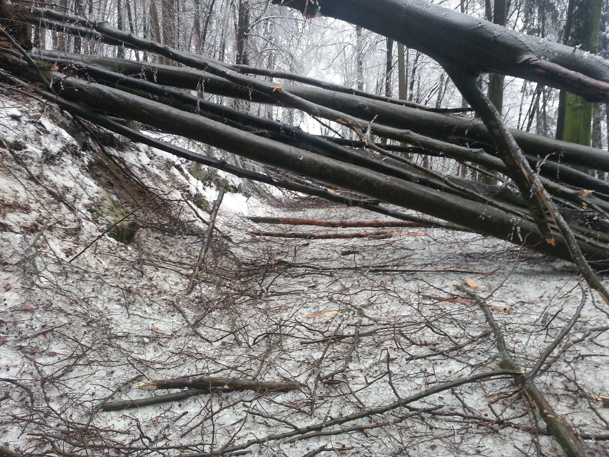 Foto: Darko Muhič/GZS