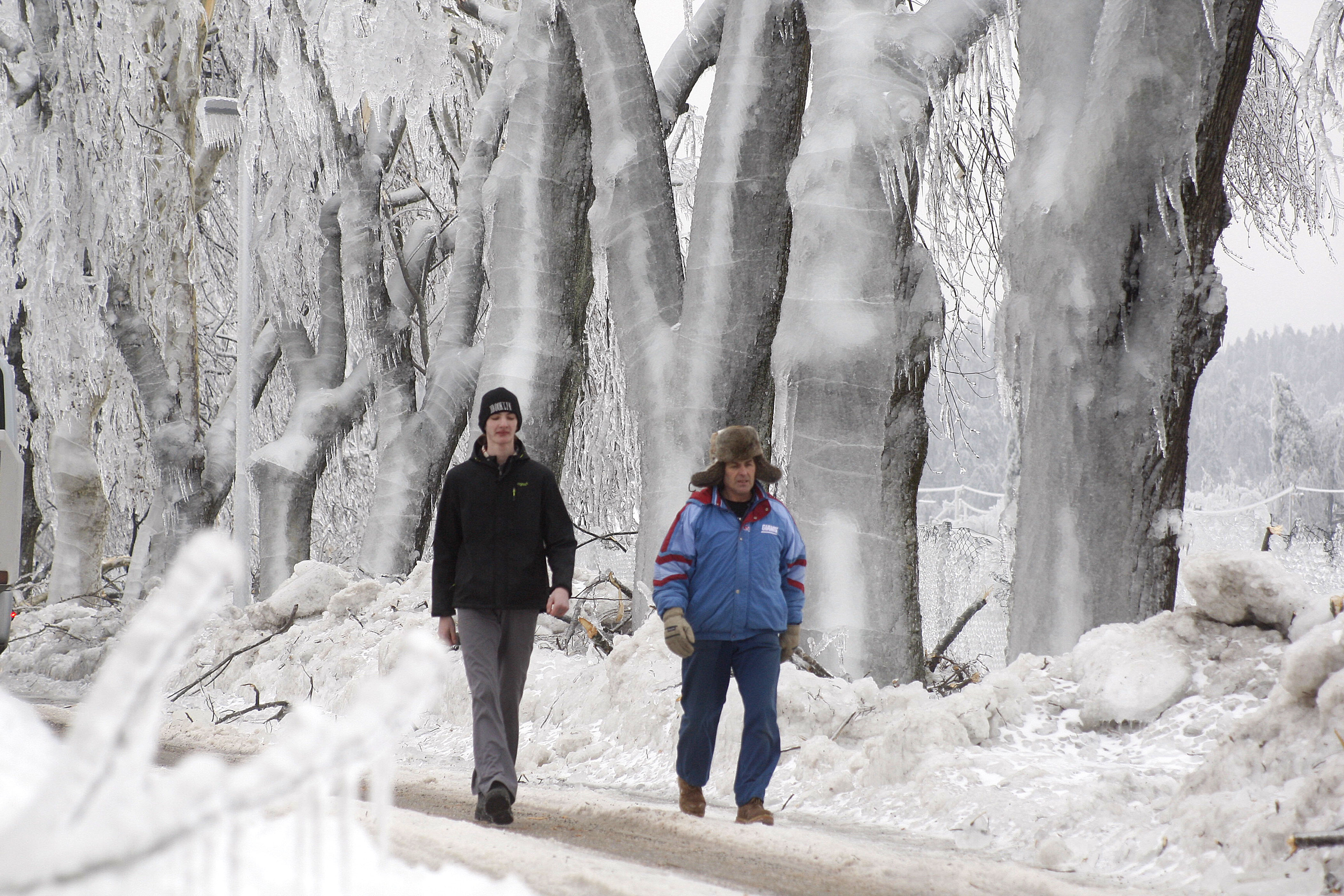 Foto: Srdjan Zivulovic/Bobo
