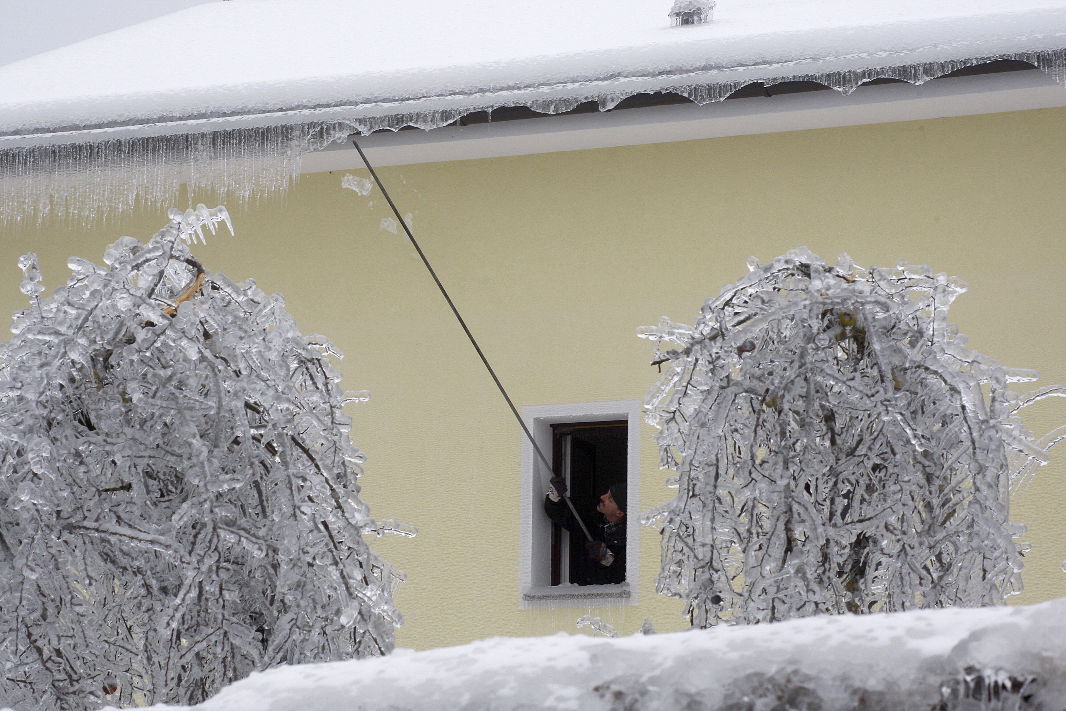 Foto: Srdjan Zivulovic/Bobo