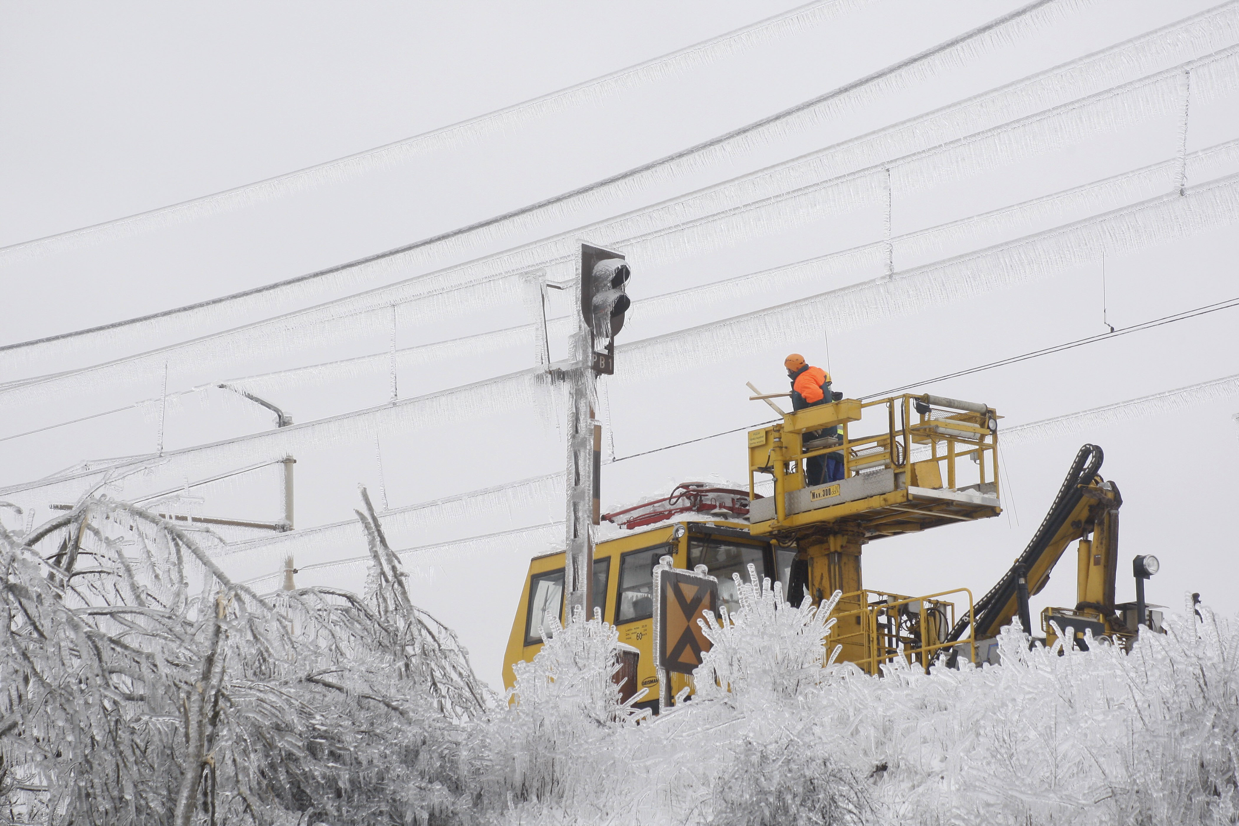 Foto: Srdjan Zivulovic/Bobo